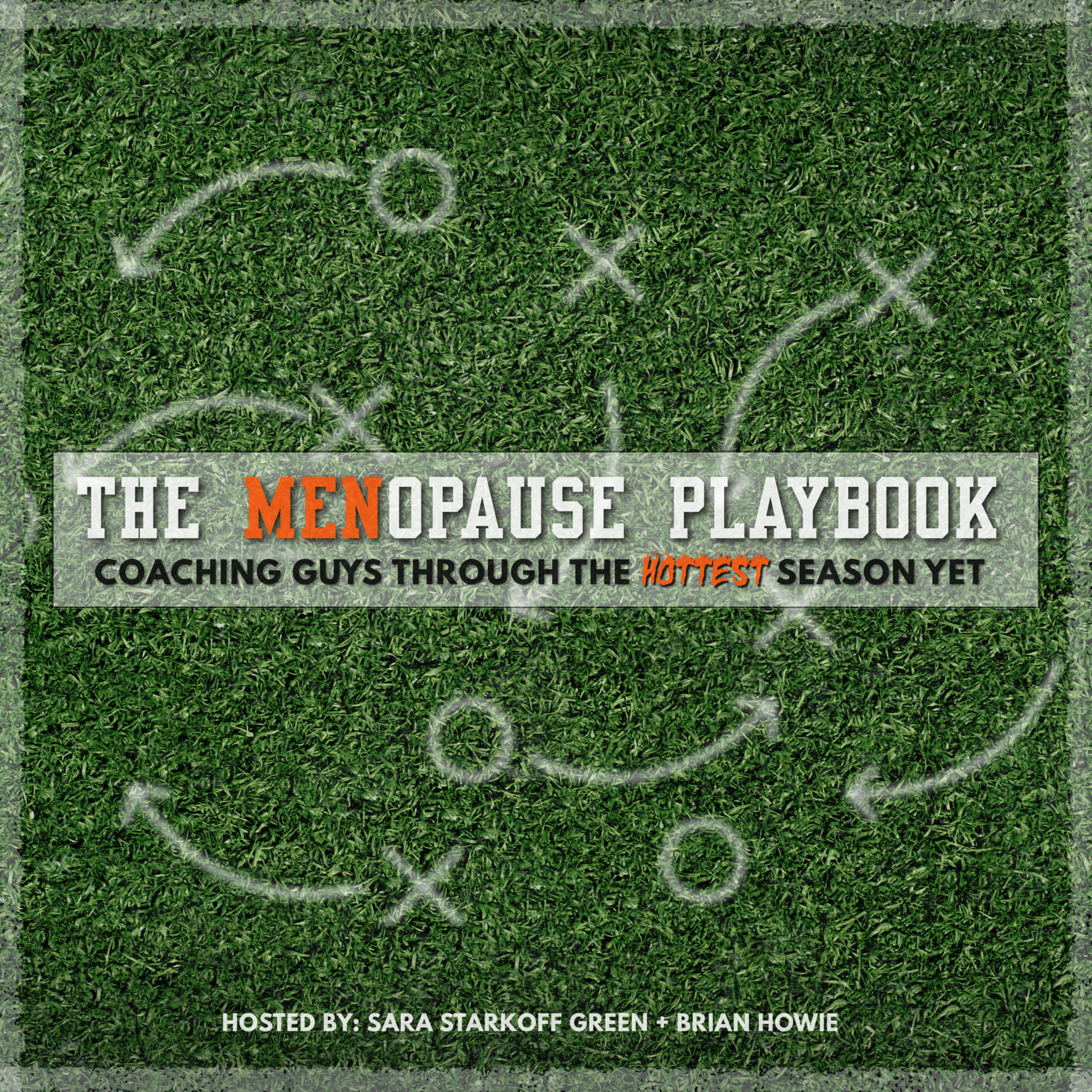 The MENopause Playbook