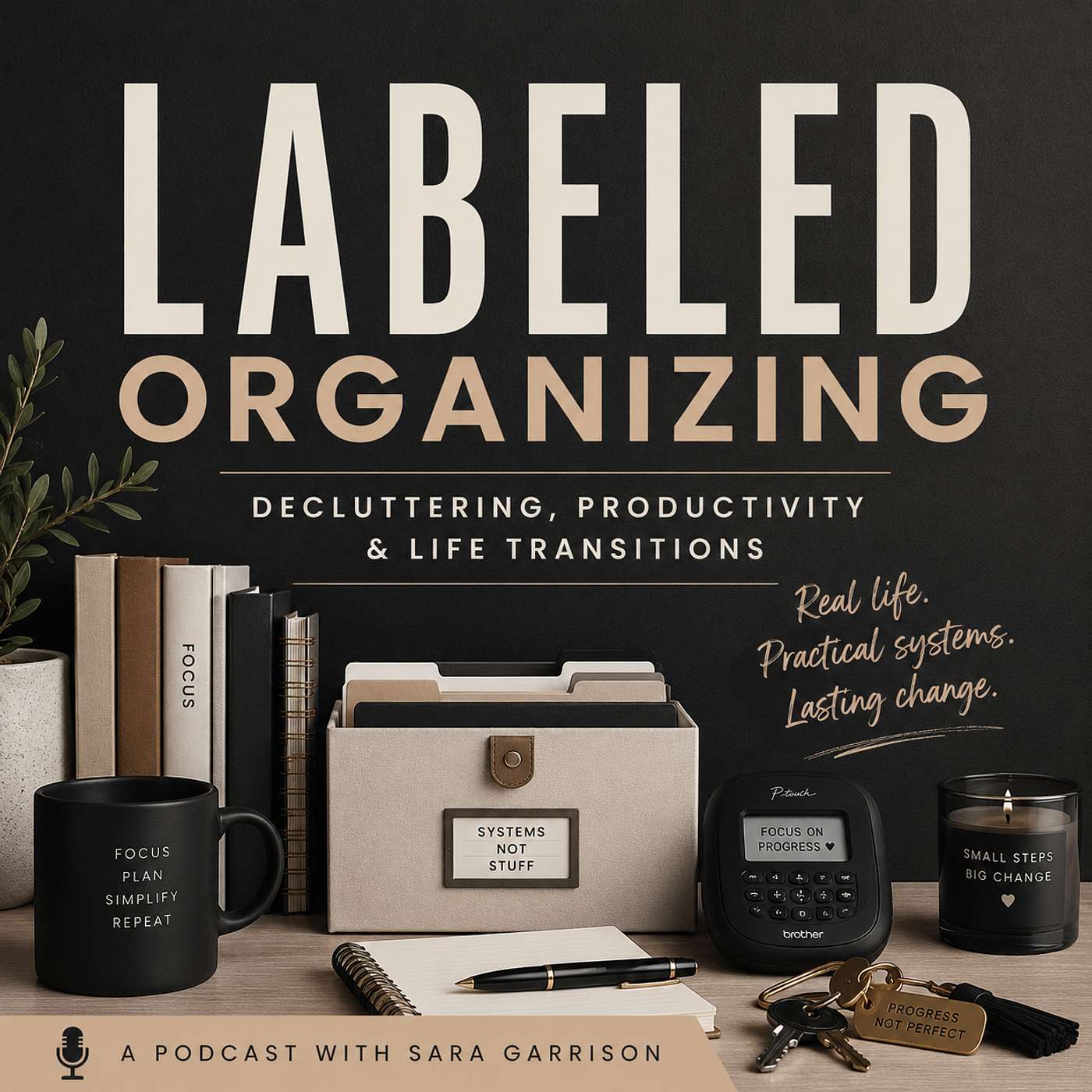 90. Hoarding Series: Episode 5 of 5: How to Live with a Hoarder — Labeled Organizing cover