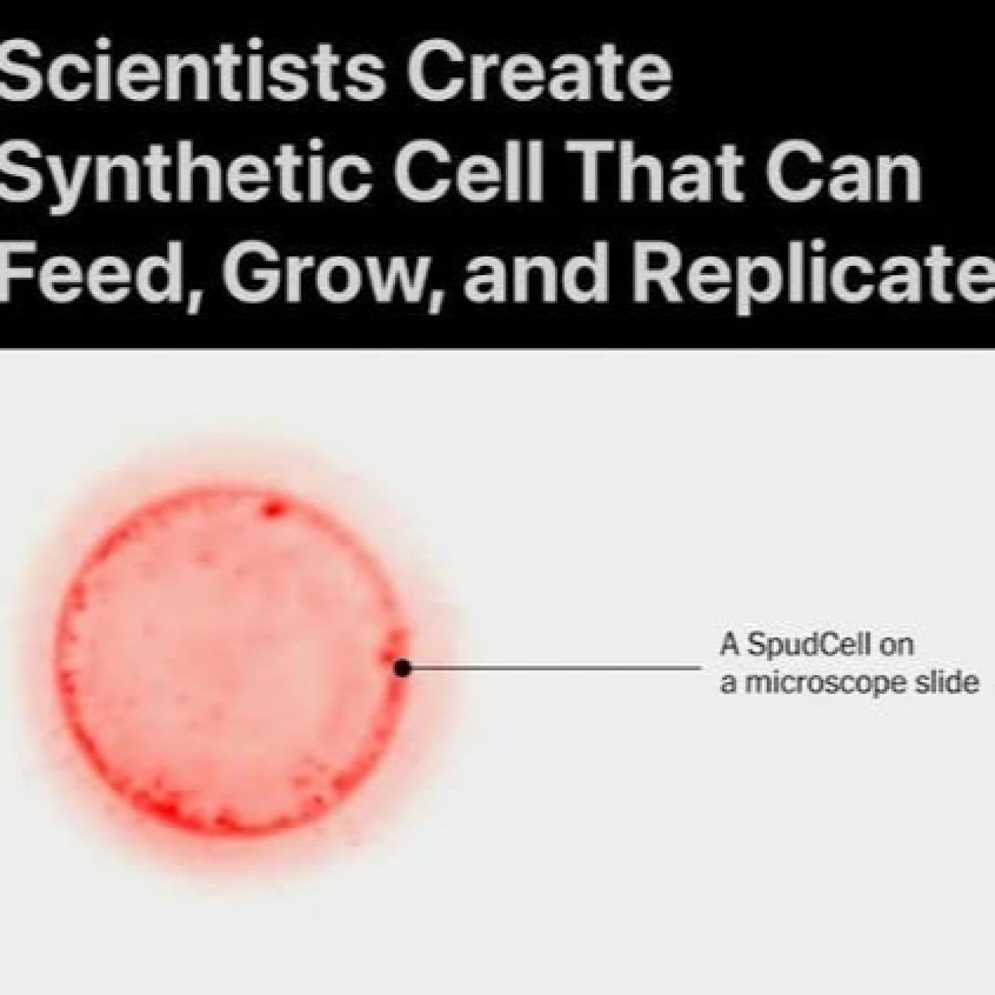 SpudCell Is Evolving: Has Synthetic Biology Crossed a New Threshold? episode artwork