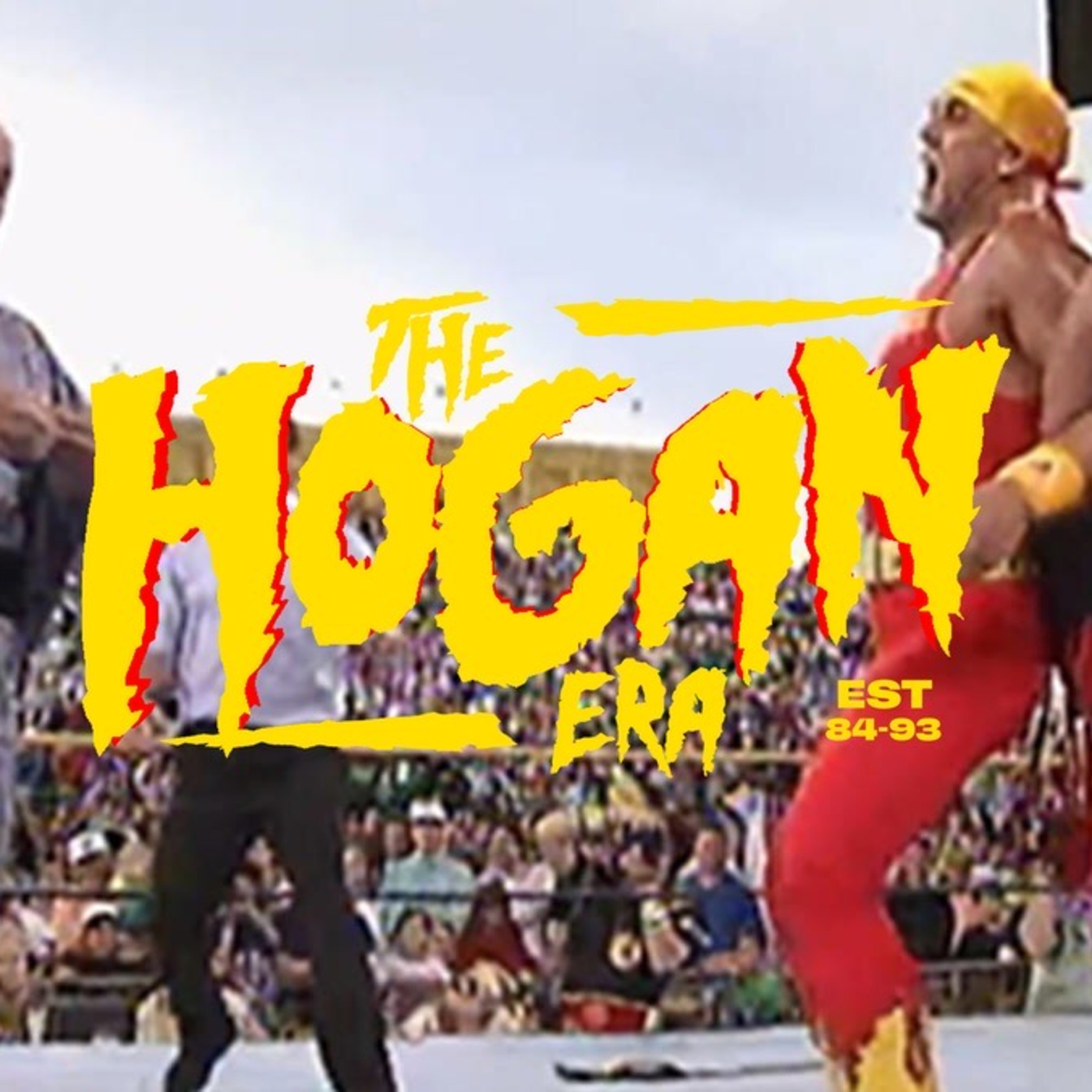 Episode 48: The Hogan Era - Mr. Fuji