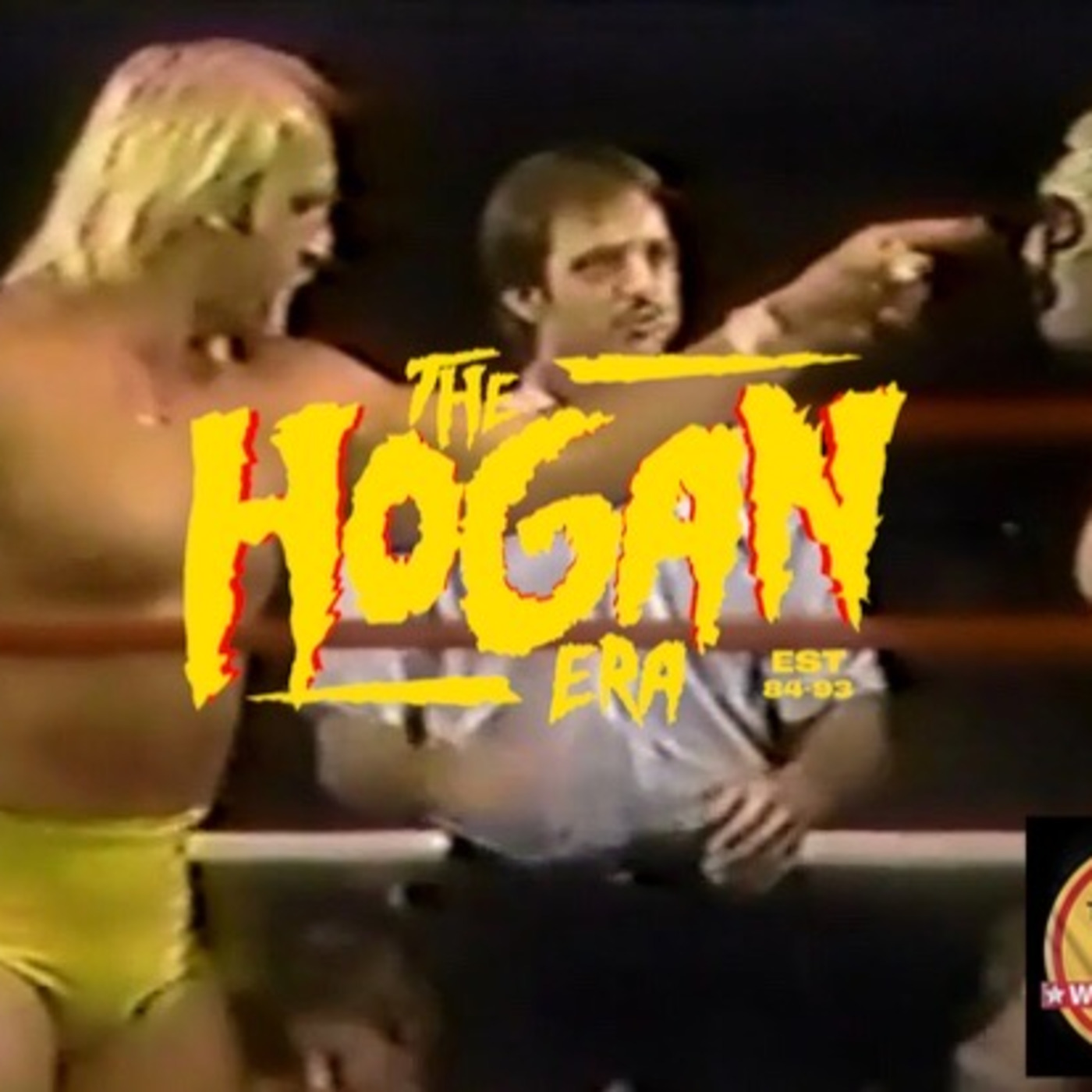 Episode 47: The Hogan Era - Masked Superstar/Ax
