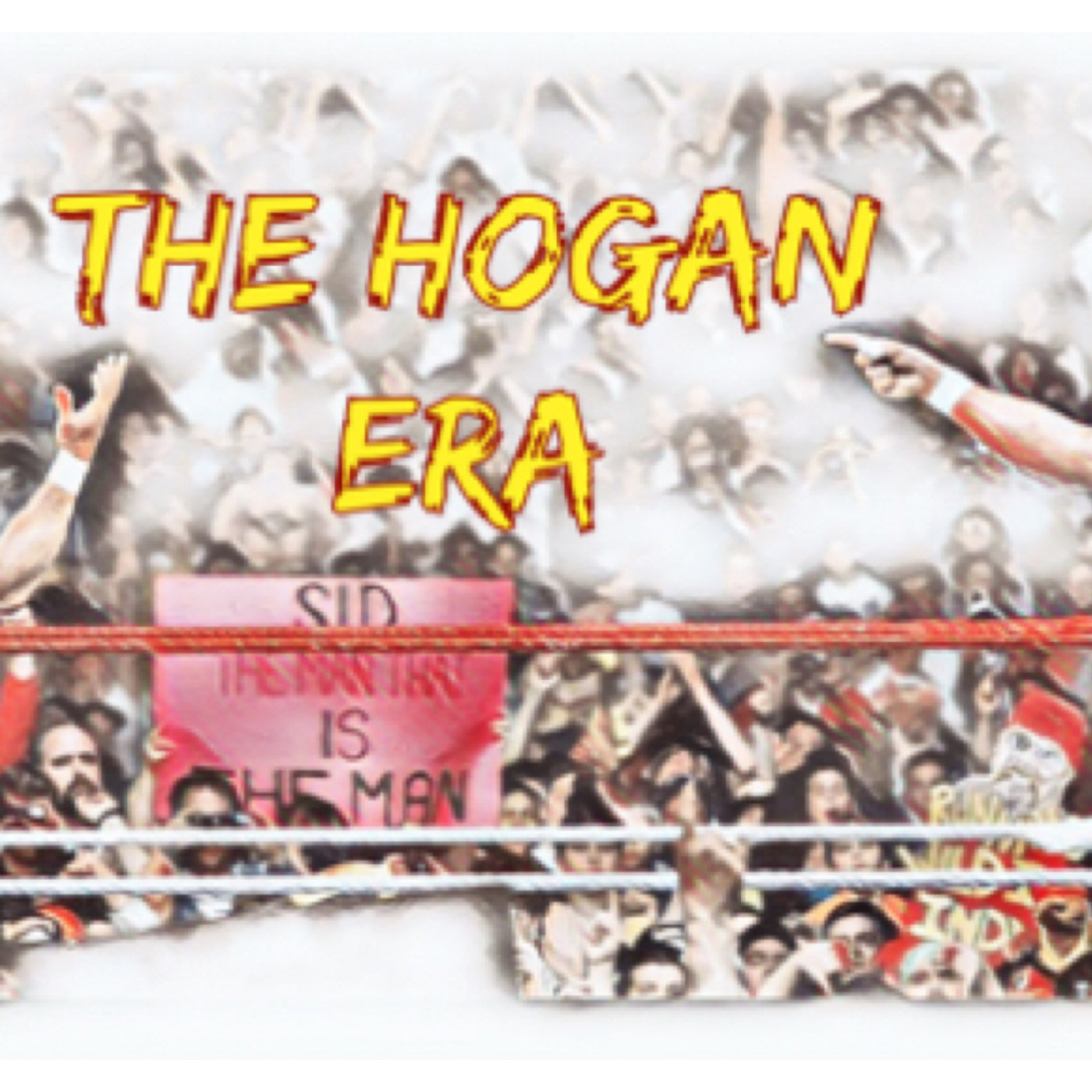 Episode 13: The Hogan Era - Sid Justice