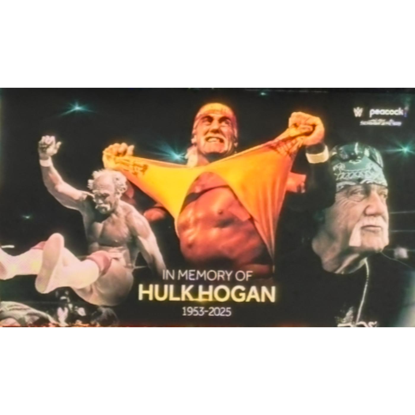 TMPT Special Feature - Hulk Hogan Top Matches