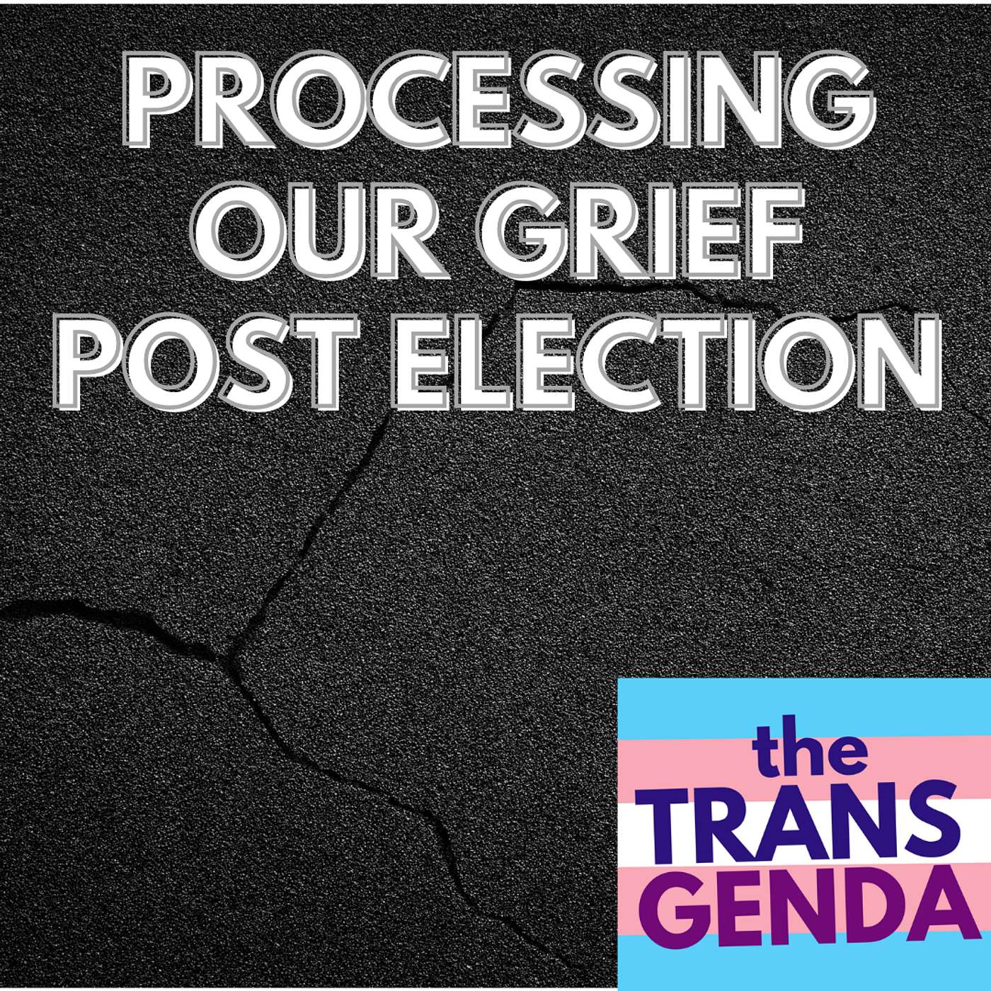 the Transgenda