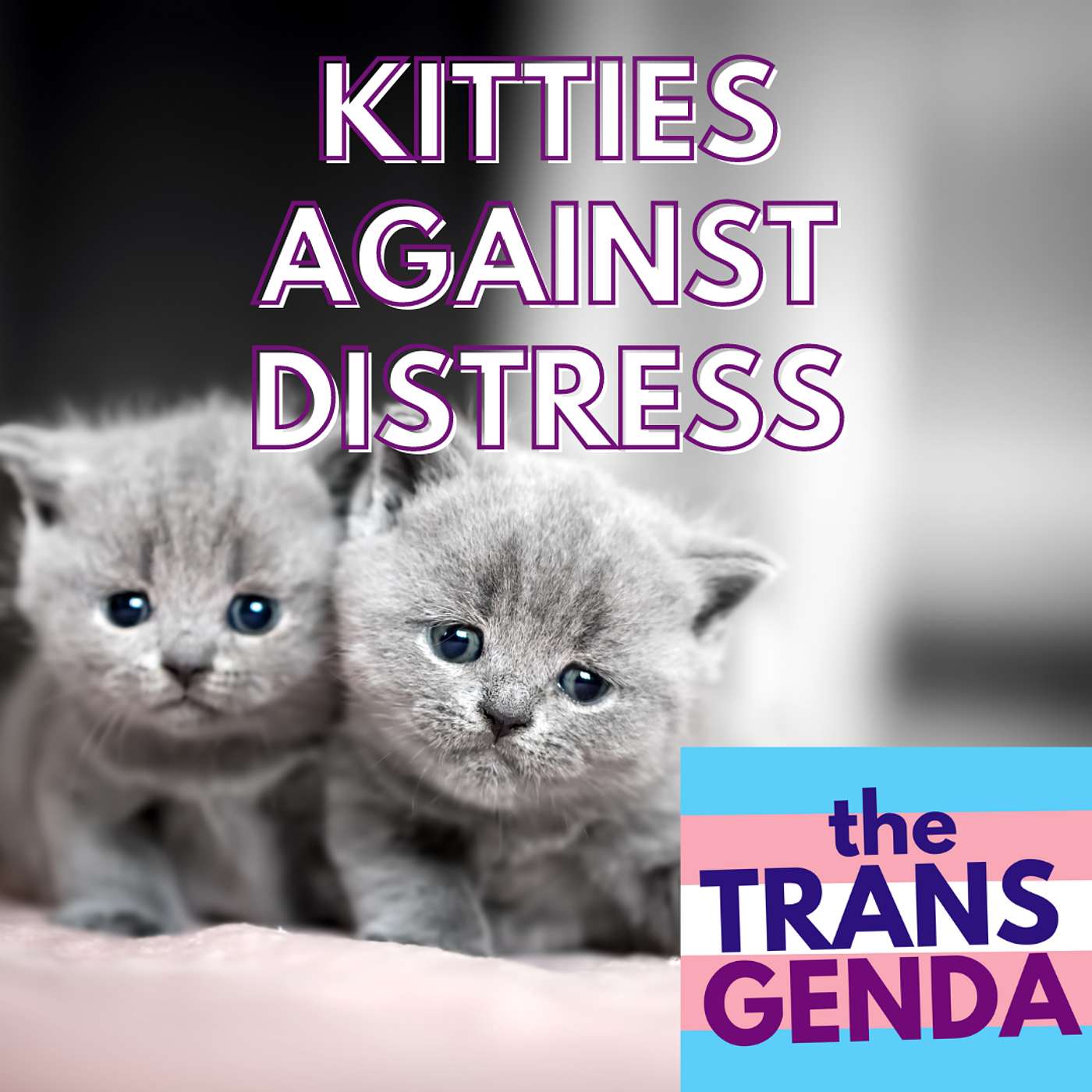 the Transgenda