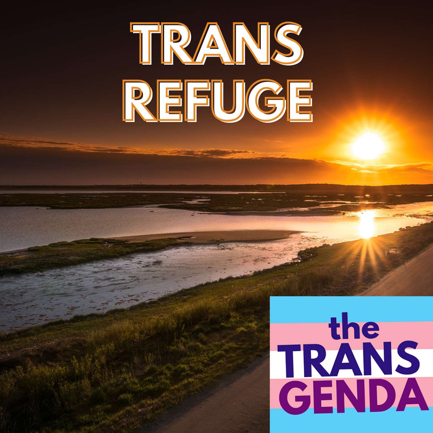 the Transgenda