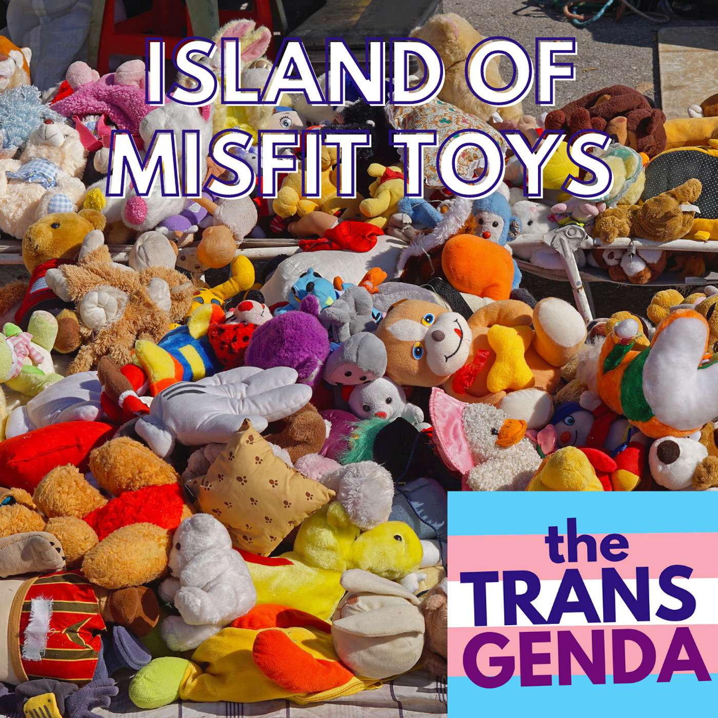 the Transgenda