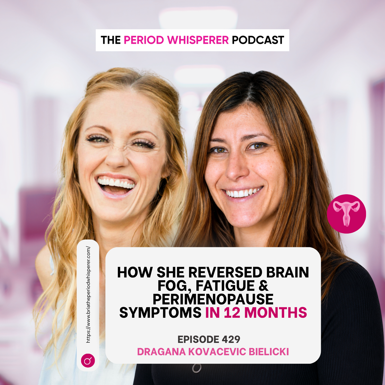 Eps 429: How She Reversed Brain Fog, Fatigue & Perimenopause Symptoms in 12 Months with Dragana episode artwork