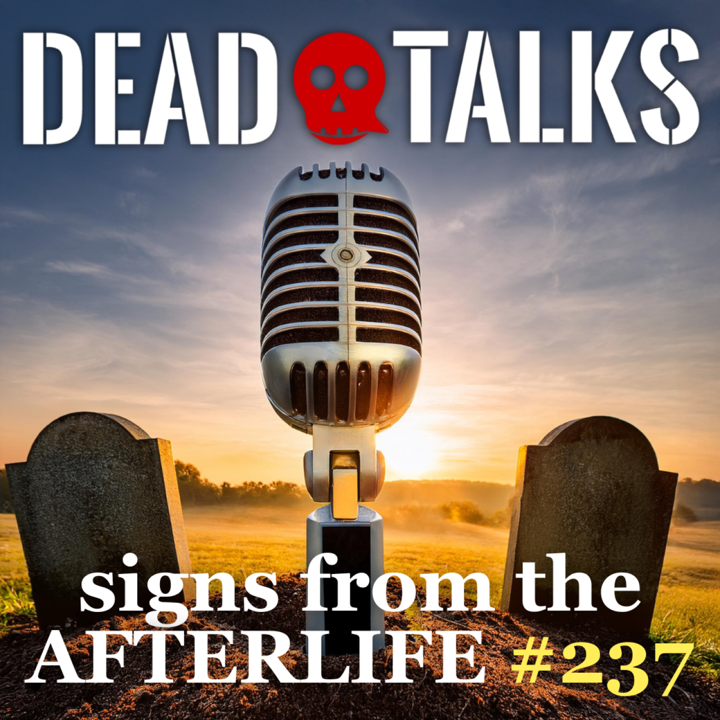 Signs From The Afterlife: The Undeniable Sign Her Husband Sent After Death (#237)