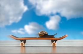 Life After Divorce Coaching