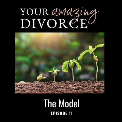 Life After Divorce Coaching