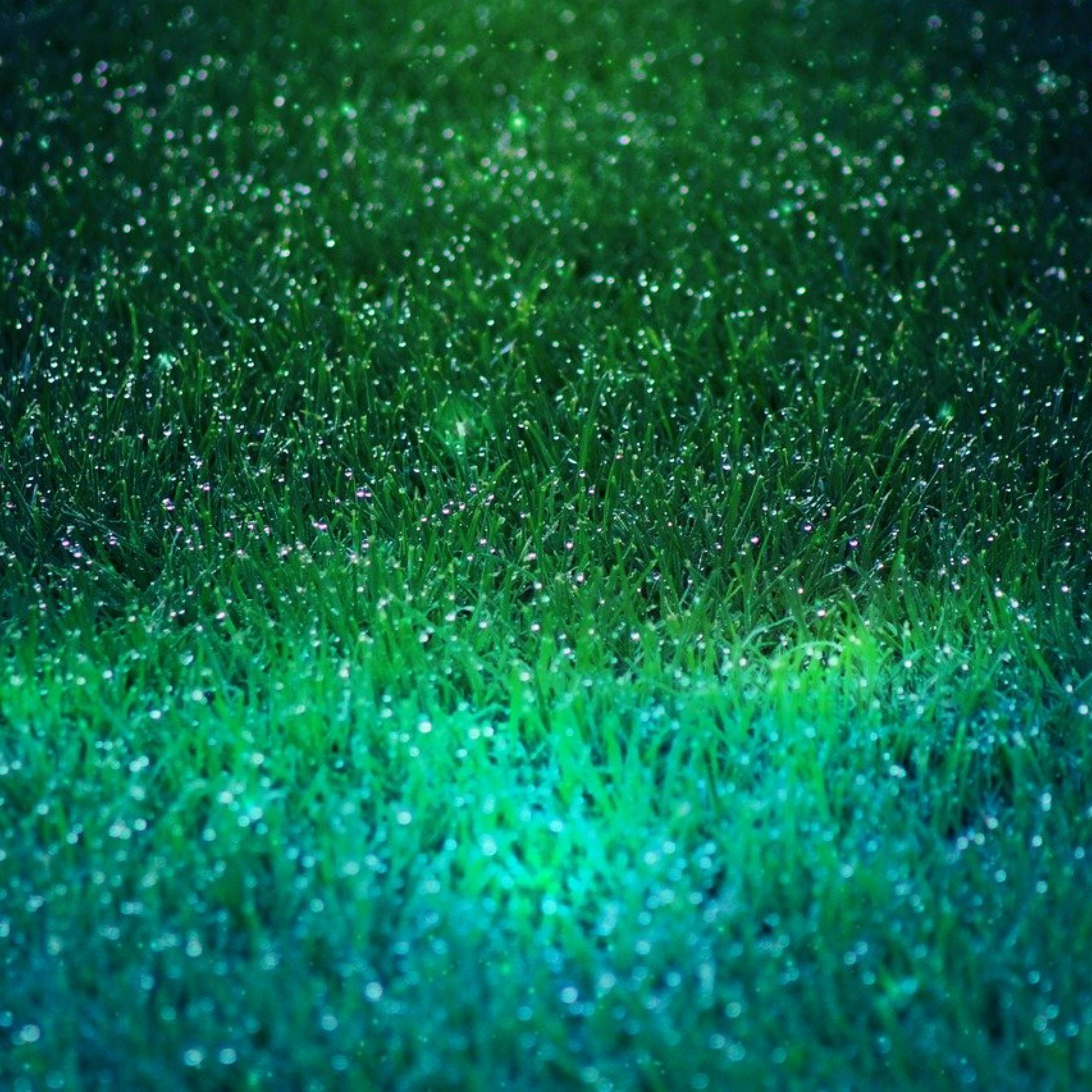 😴🌧️🎵 FALL ASLEEP Quickly with the Sound of RAIN and a Soft MELODY episode artwork