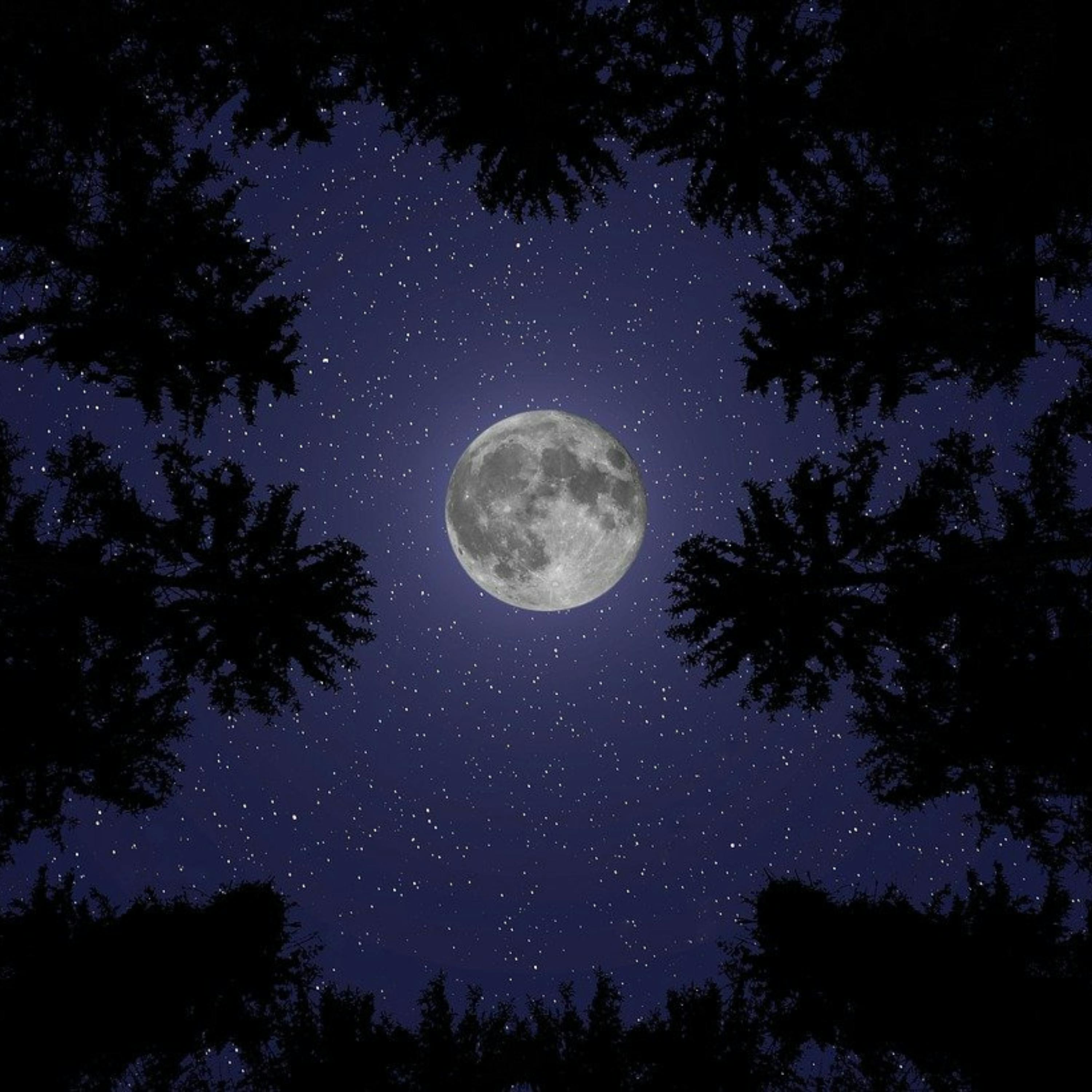 😴🎵 Soothing MUSIC, Restorative SLEEP: The Perfect Alliance for your WELL-BEING episode artwork