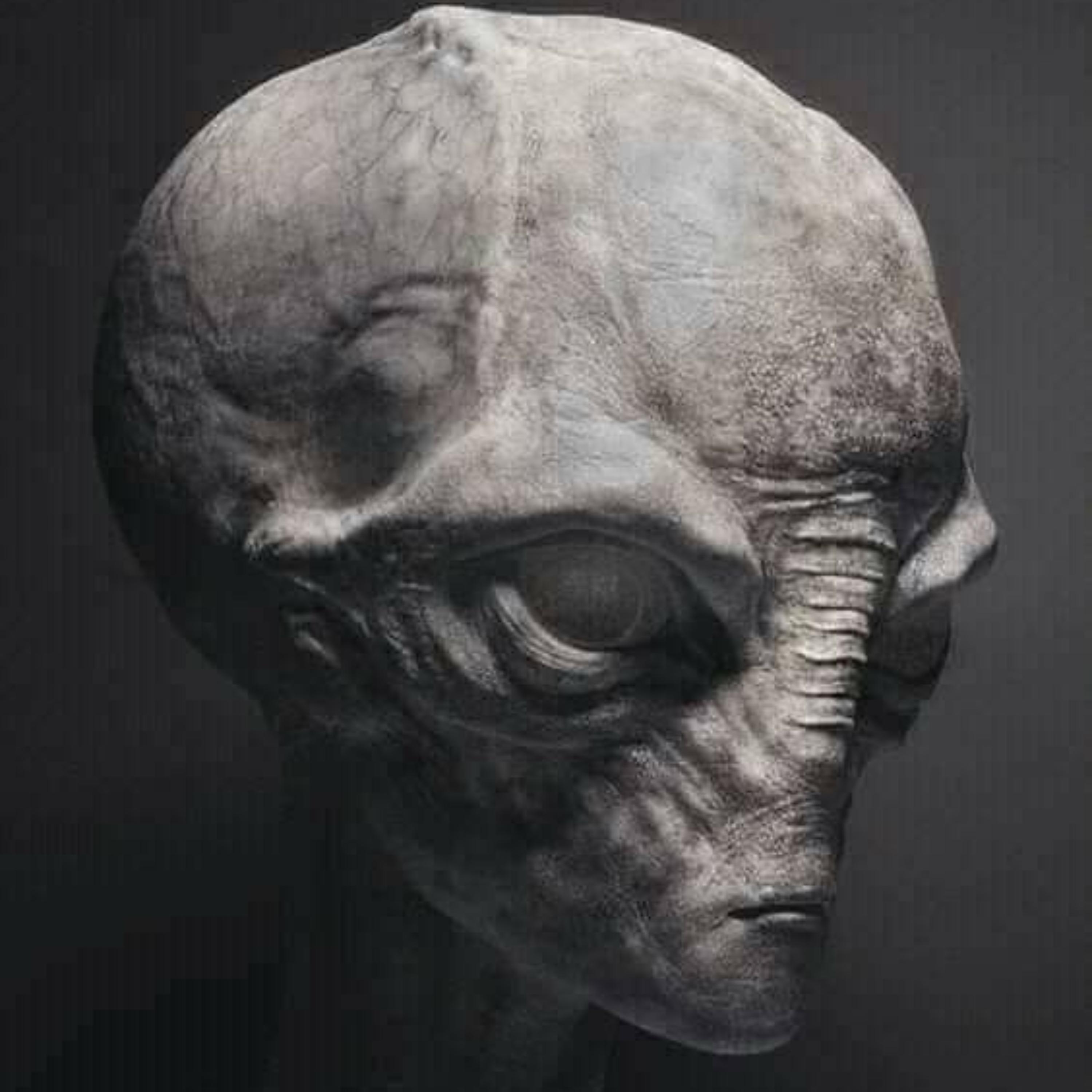 Hidden History: Ancient Aliens and the Suppressed Origins of Civilization