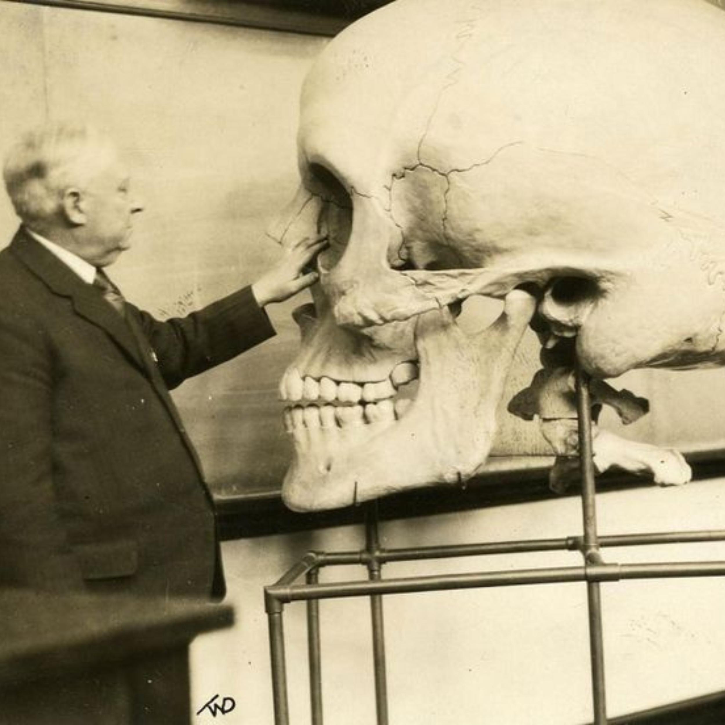 Giants: Sons of Gods