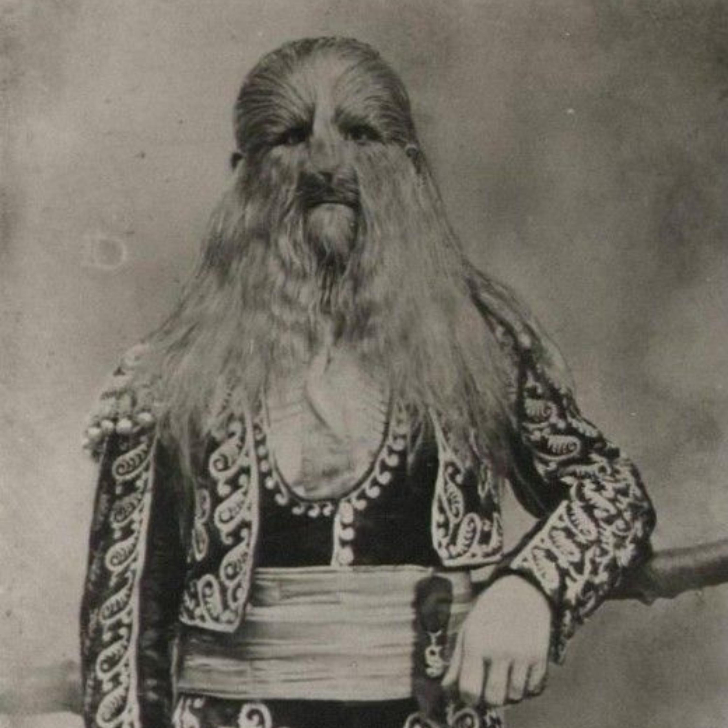 The Wonders: Age of The Freak Show