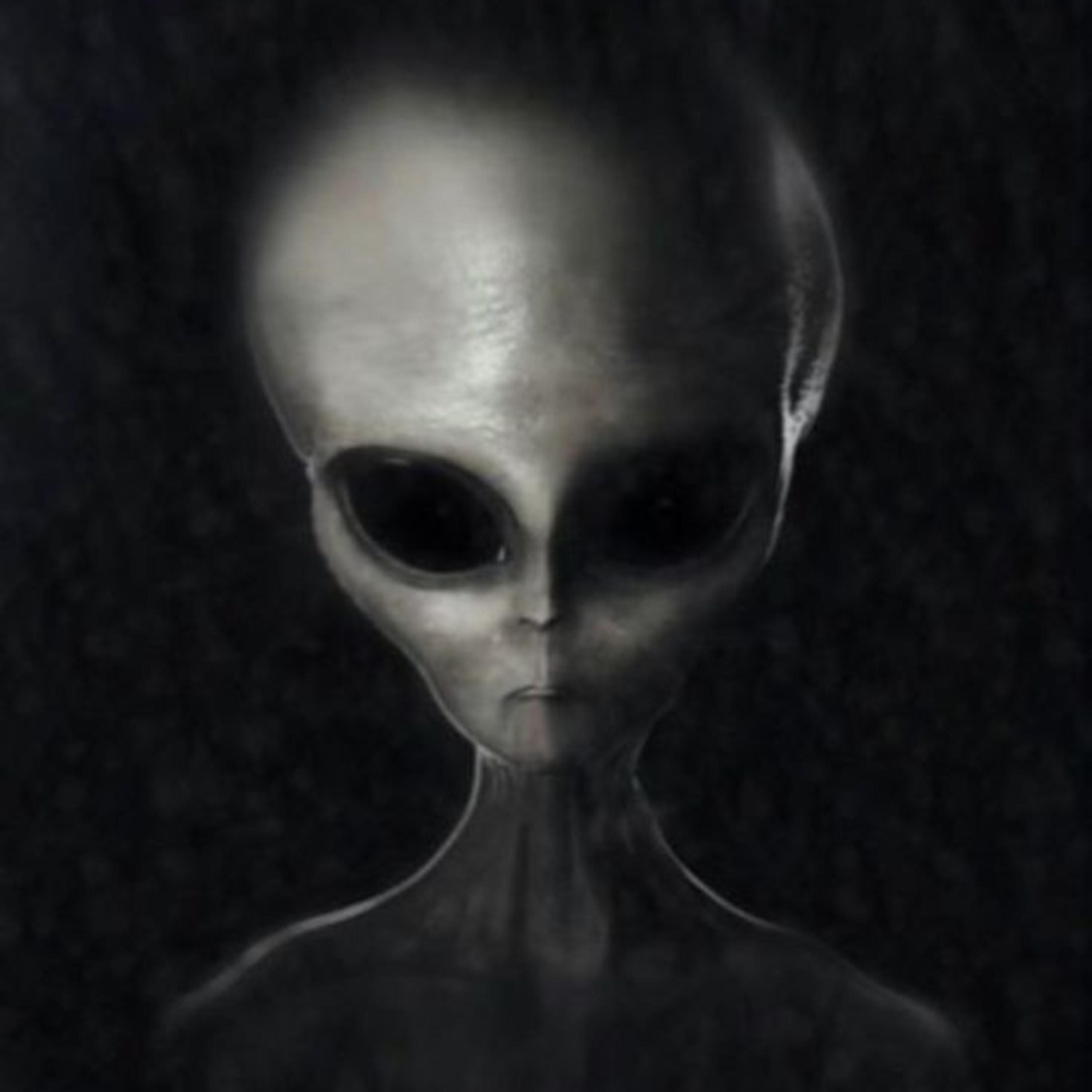 The Messengers: Owls, Synchronicity and the UFO Abductee The Messengers: Owls, Synchronicity and the UFO Abductee