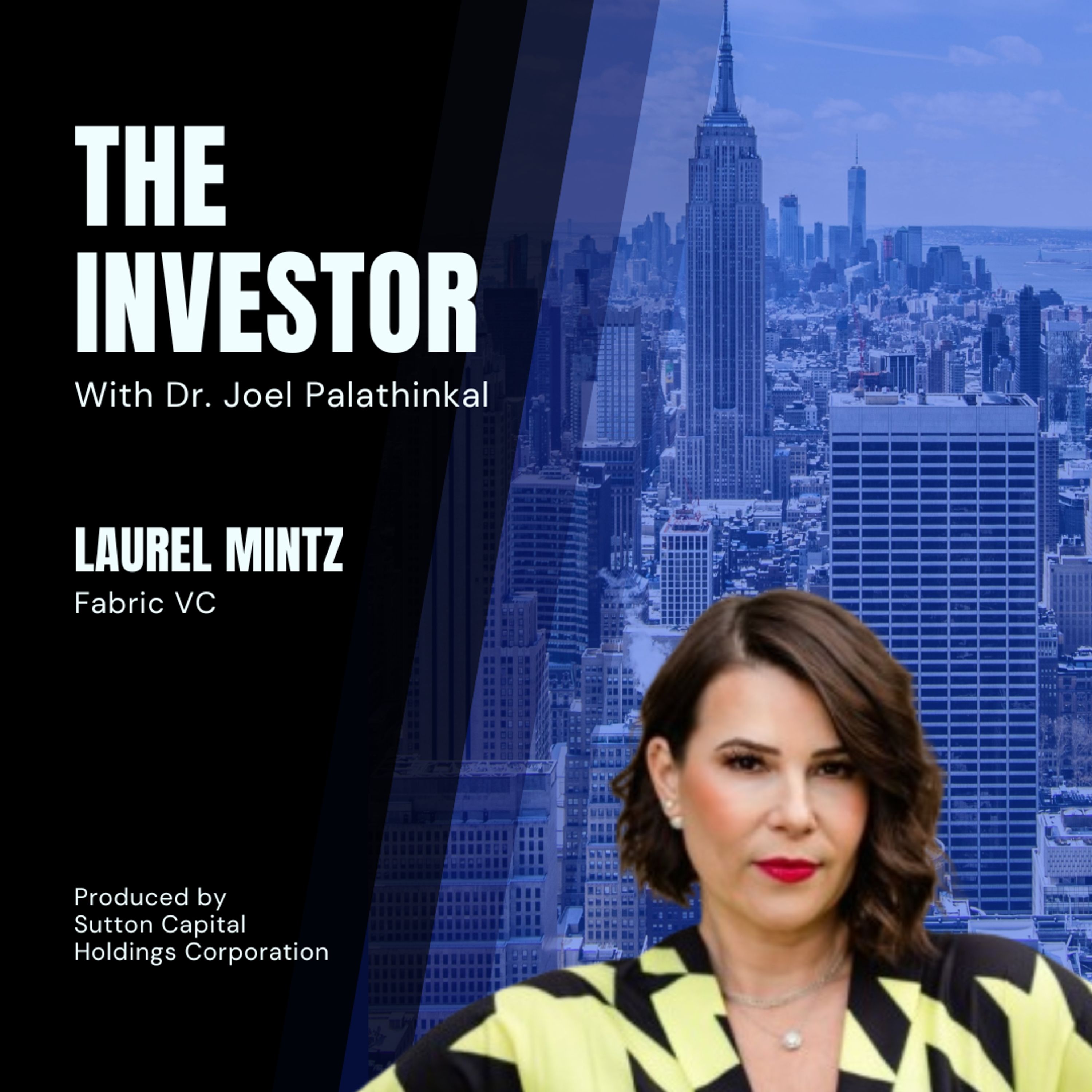 Laurel Mintz: Fabric VC