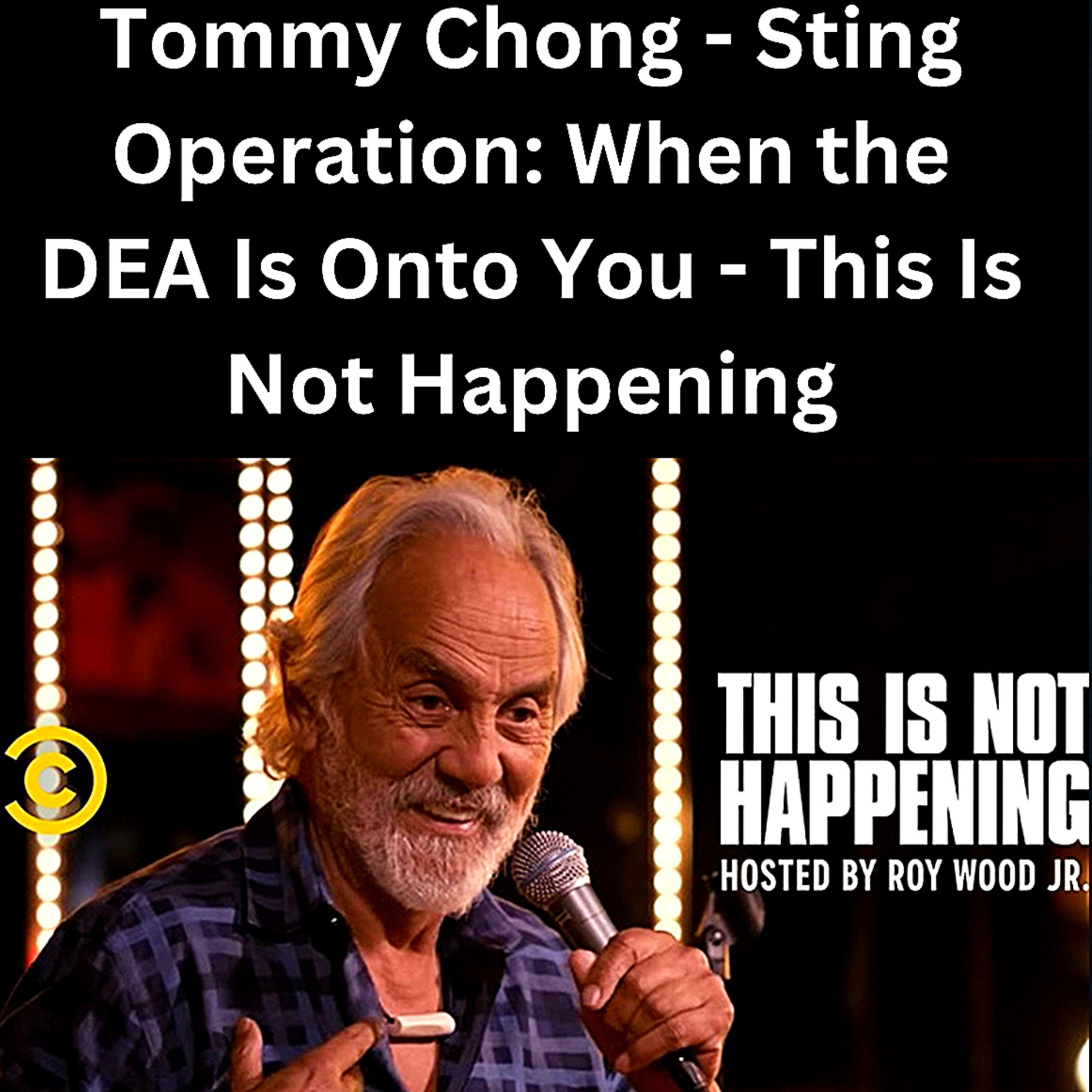 S1 Ep14: Tommy Chong - Sting Operation: When the DEA Is Onto You - This Is Not Happening 🤣 episode artwork