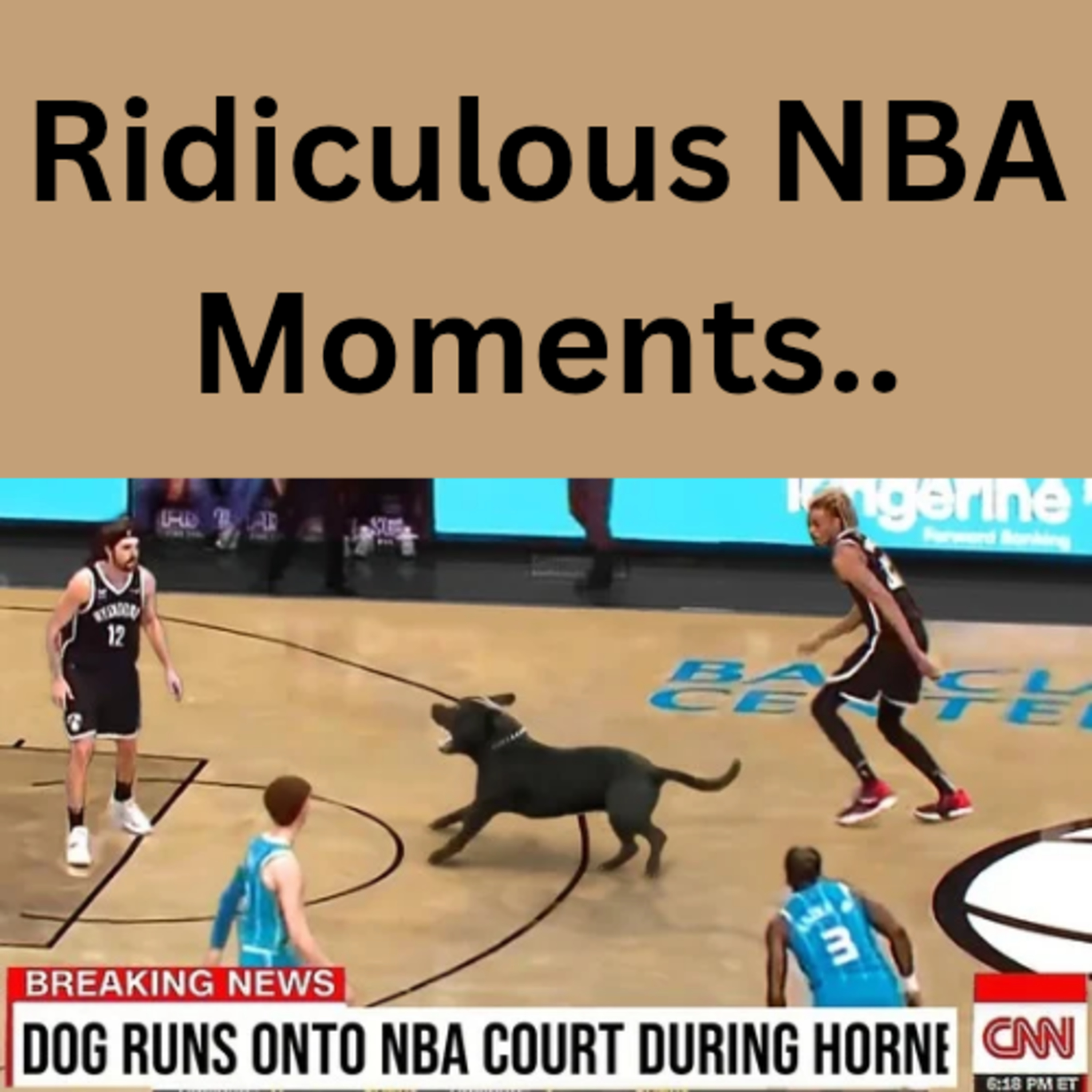Ridiculous NBA Moments.. episode artwork