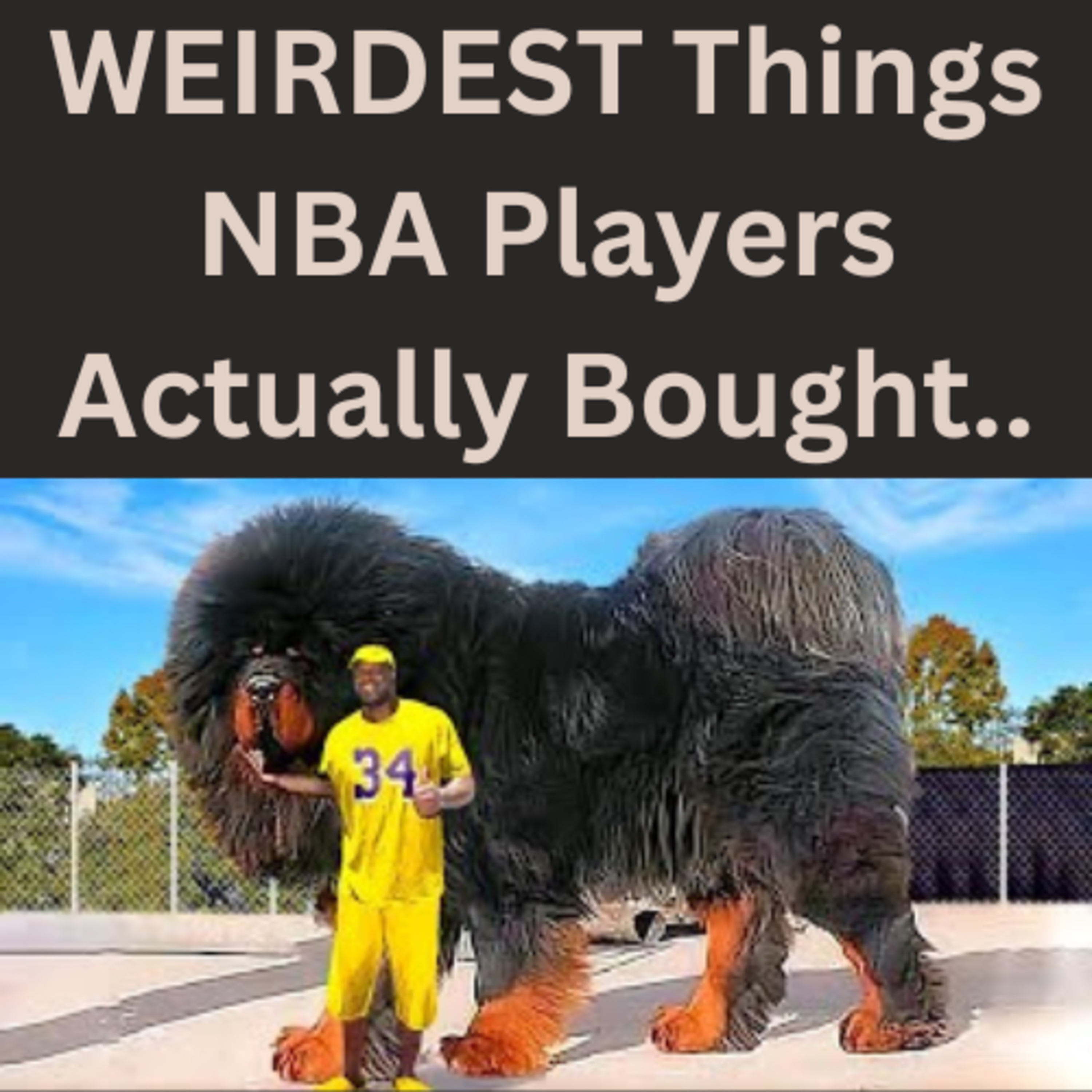 WEIRDEST Things NBA Players Actually Bought.. episode artwork
