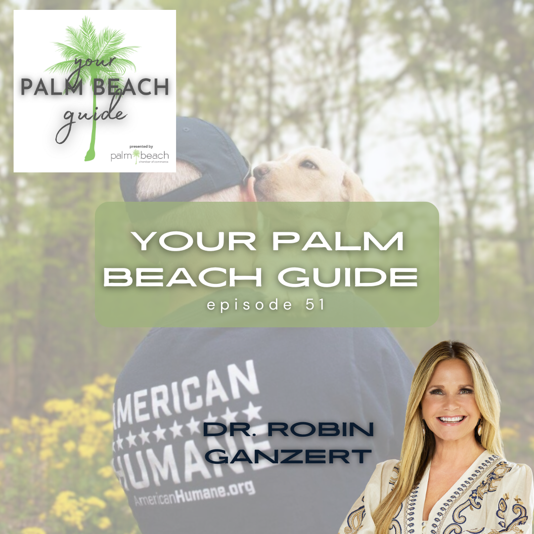 Your Palm Beach Guide