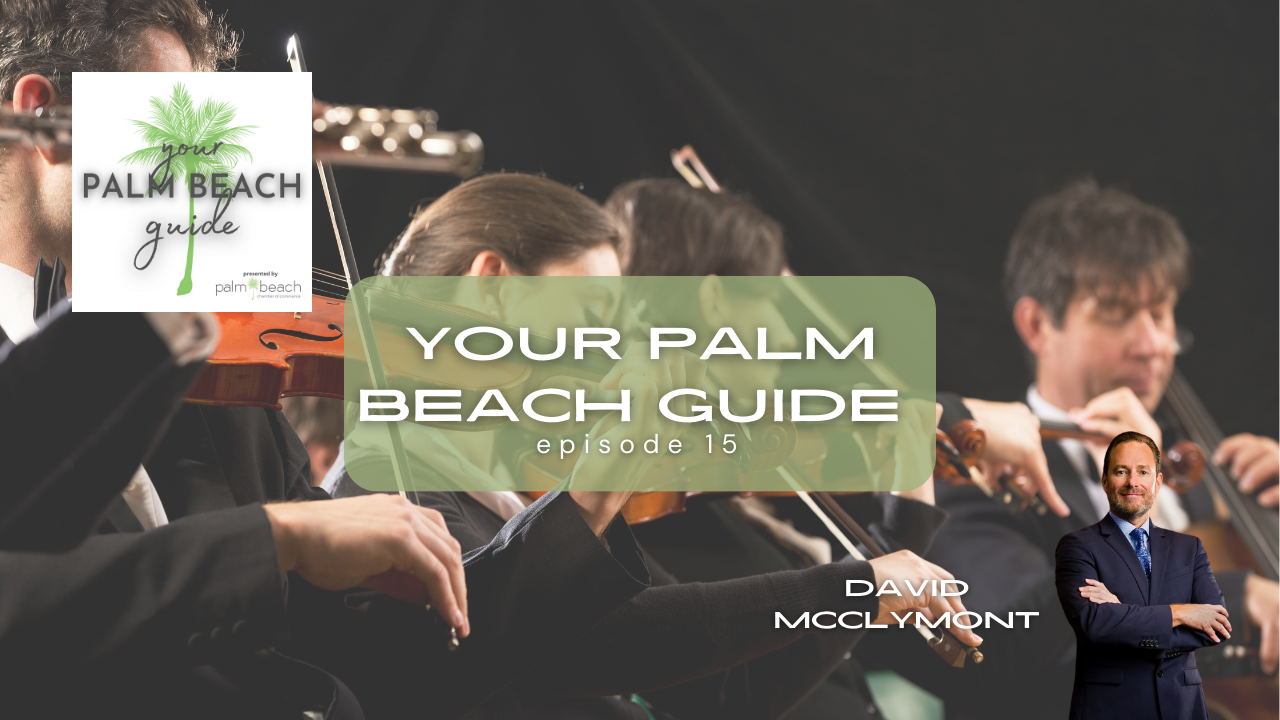 Your Palm Beach Guide