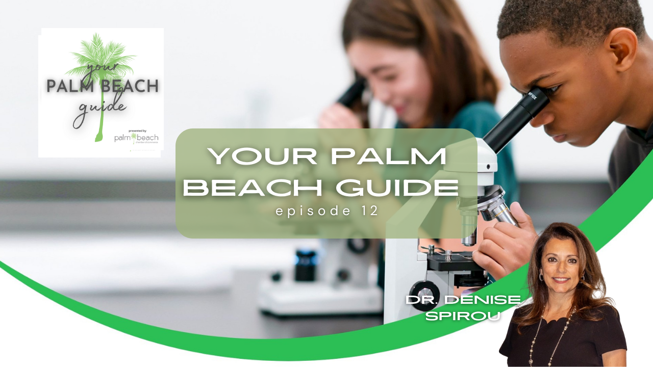 Your Palm Beach Guide