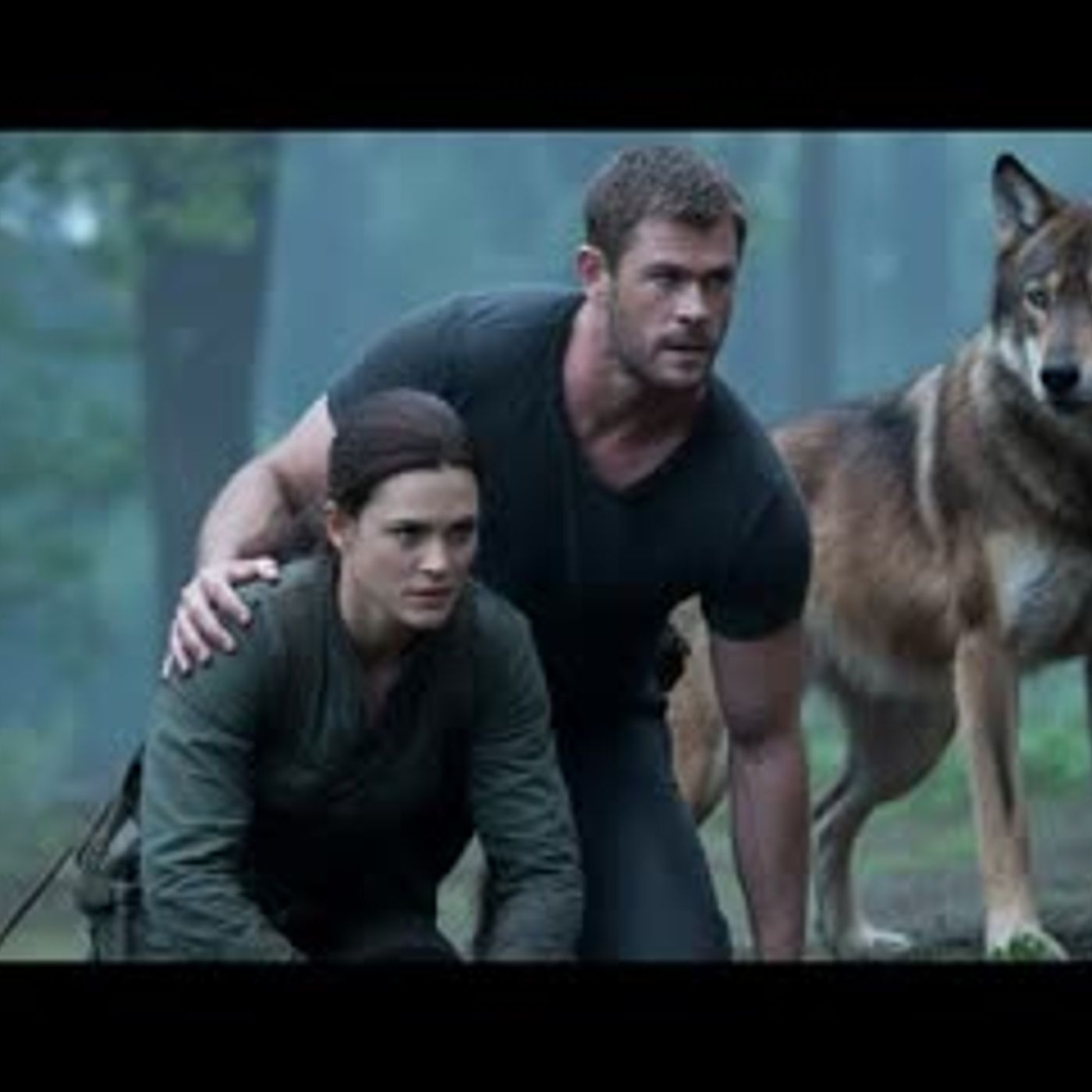 ALPHA    A Forbidden Love & Second Chance Werewolf Shifter Romance Audiobook episode artwork