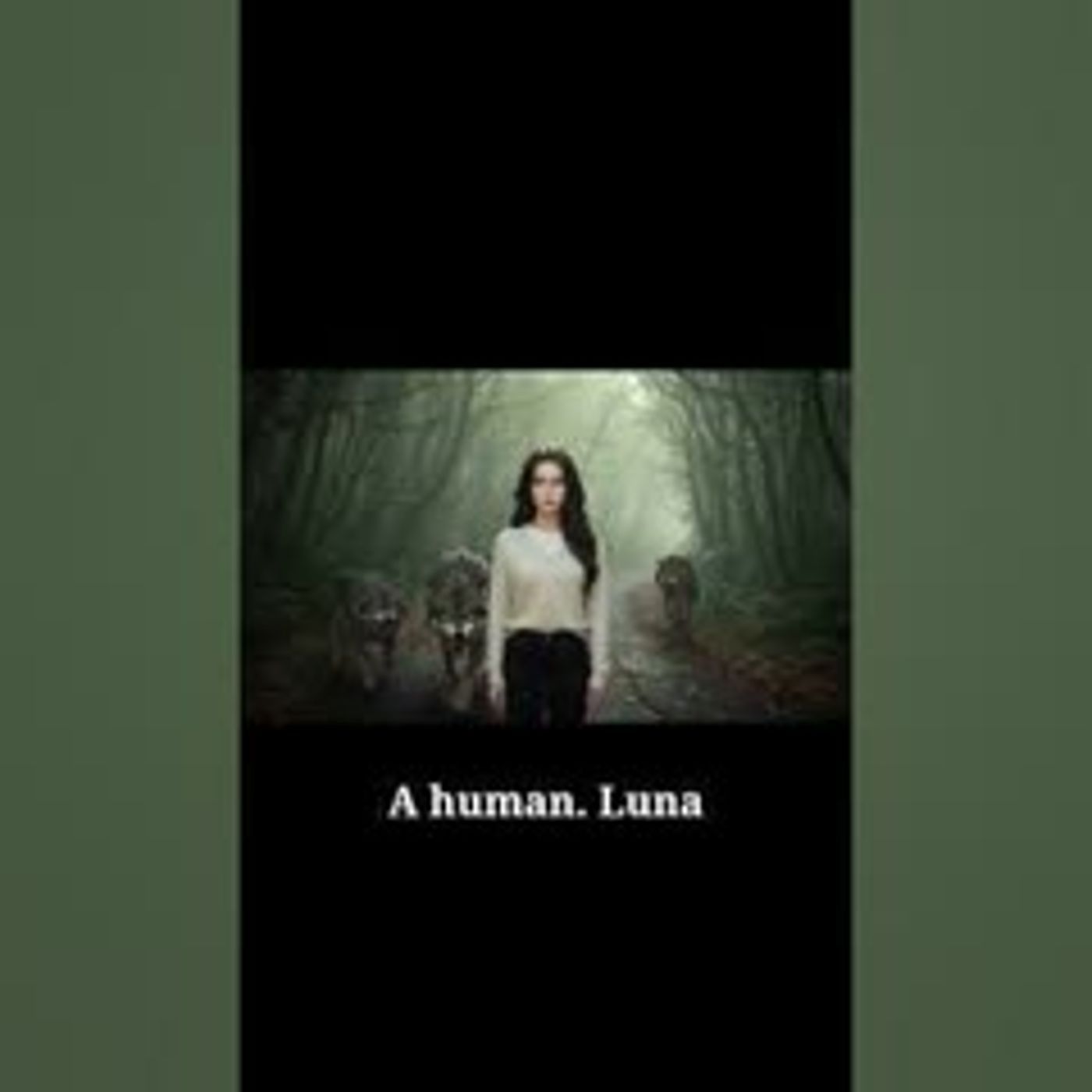 Alpha King Smells His HUMAN Mate .......THEN his Pack Sentence Her To Death episode artwork