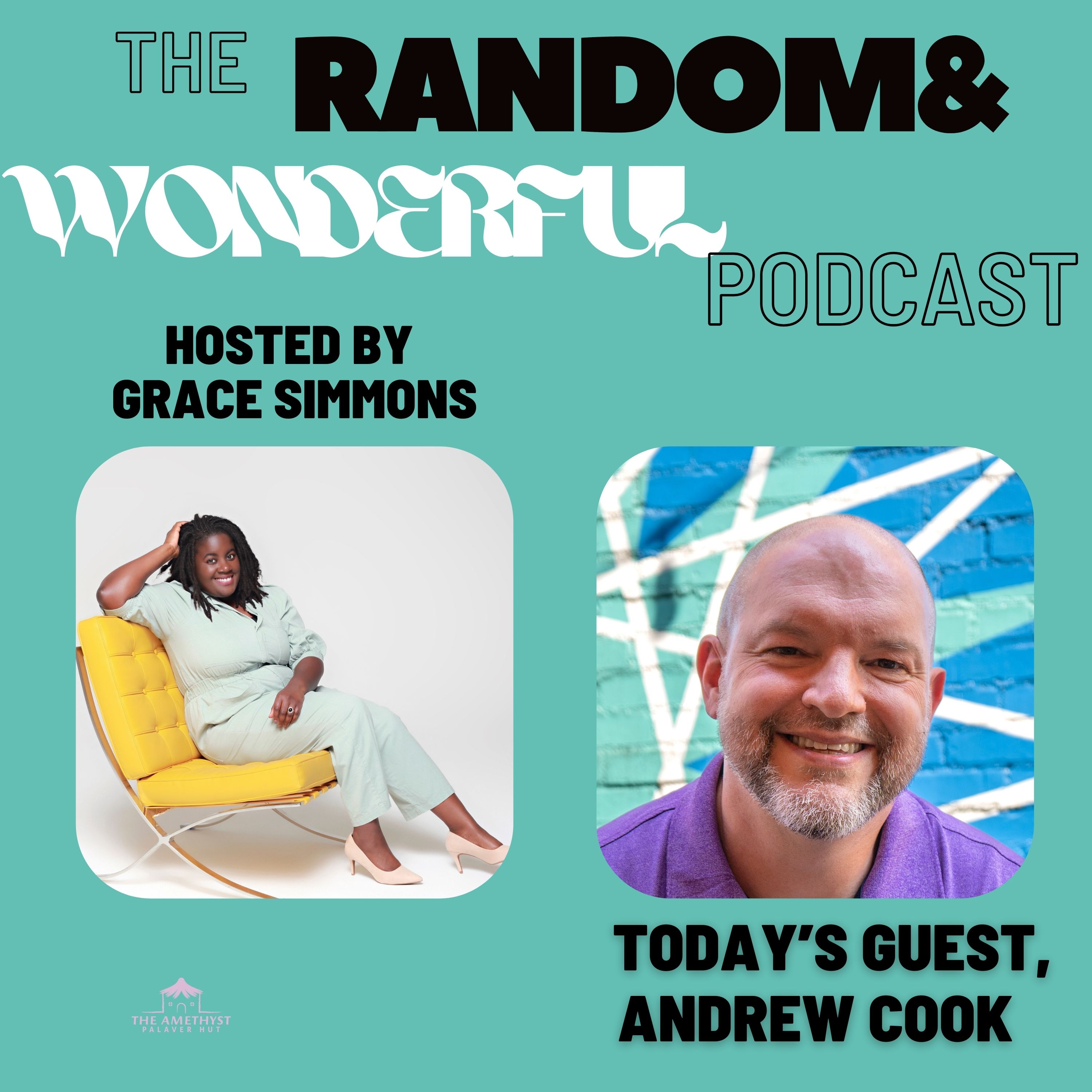 "My Luggage Has Had Wonderful Adventures Without Me" with Andrew Cook episode artwork