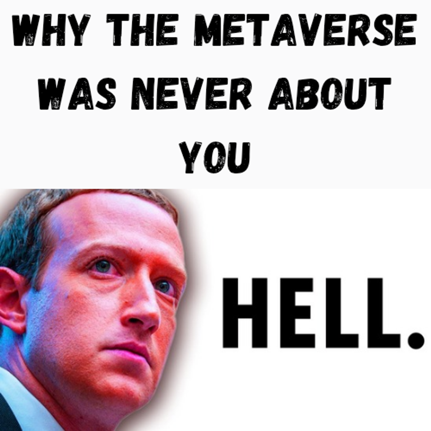 S22 Ep23: Why the Metaverse Was Never About You episode artwork
