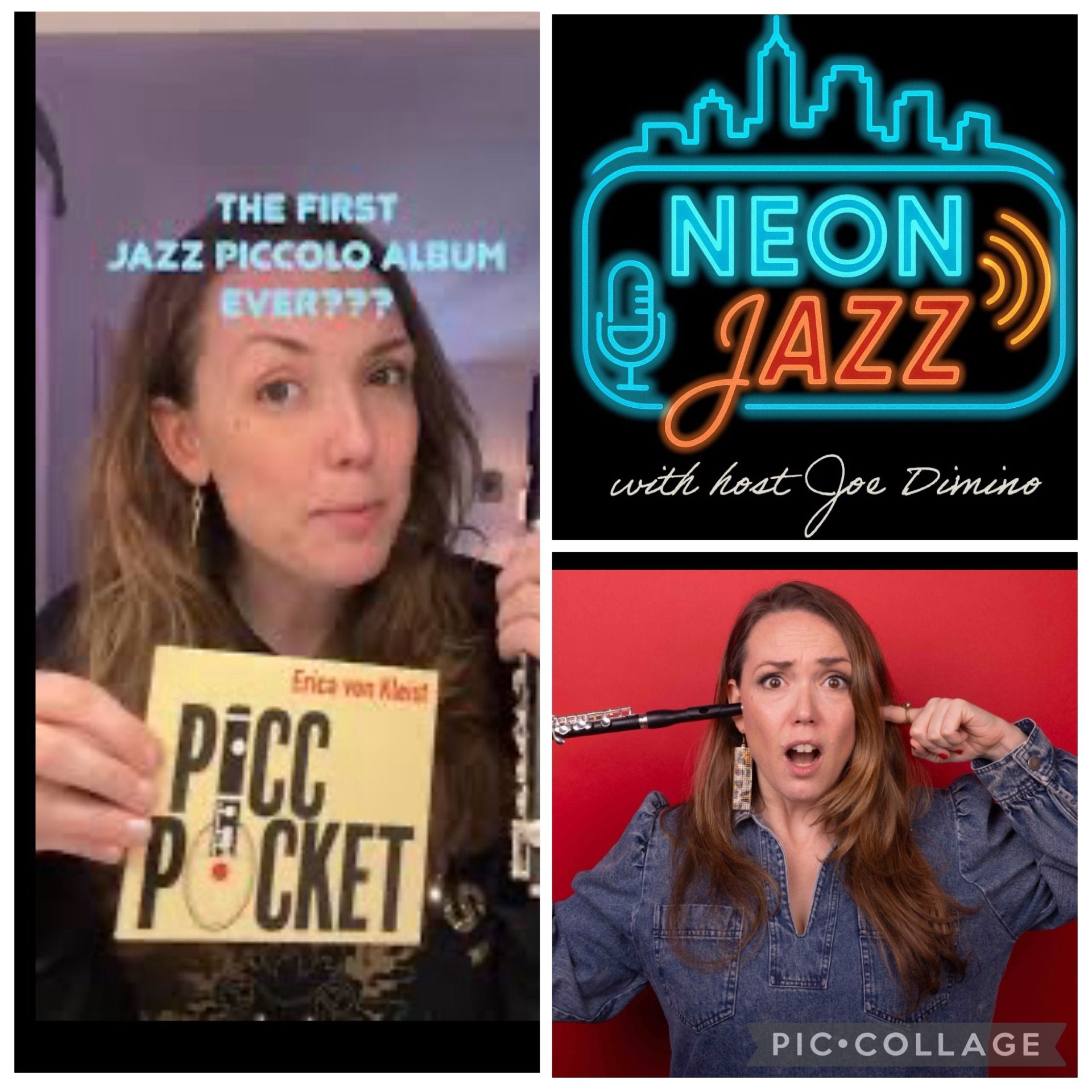 Erica von Kleist Interview | Picc Pocket, Piccolo Flute Jazz, New 2026 Album & Modern Jazz episode artwork