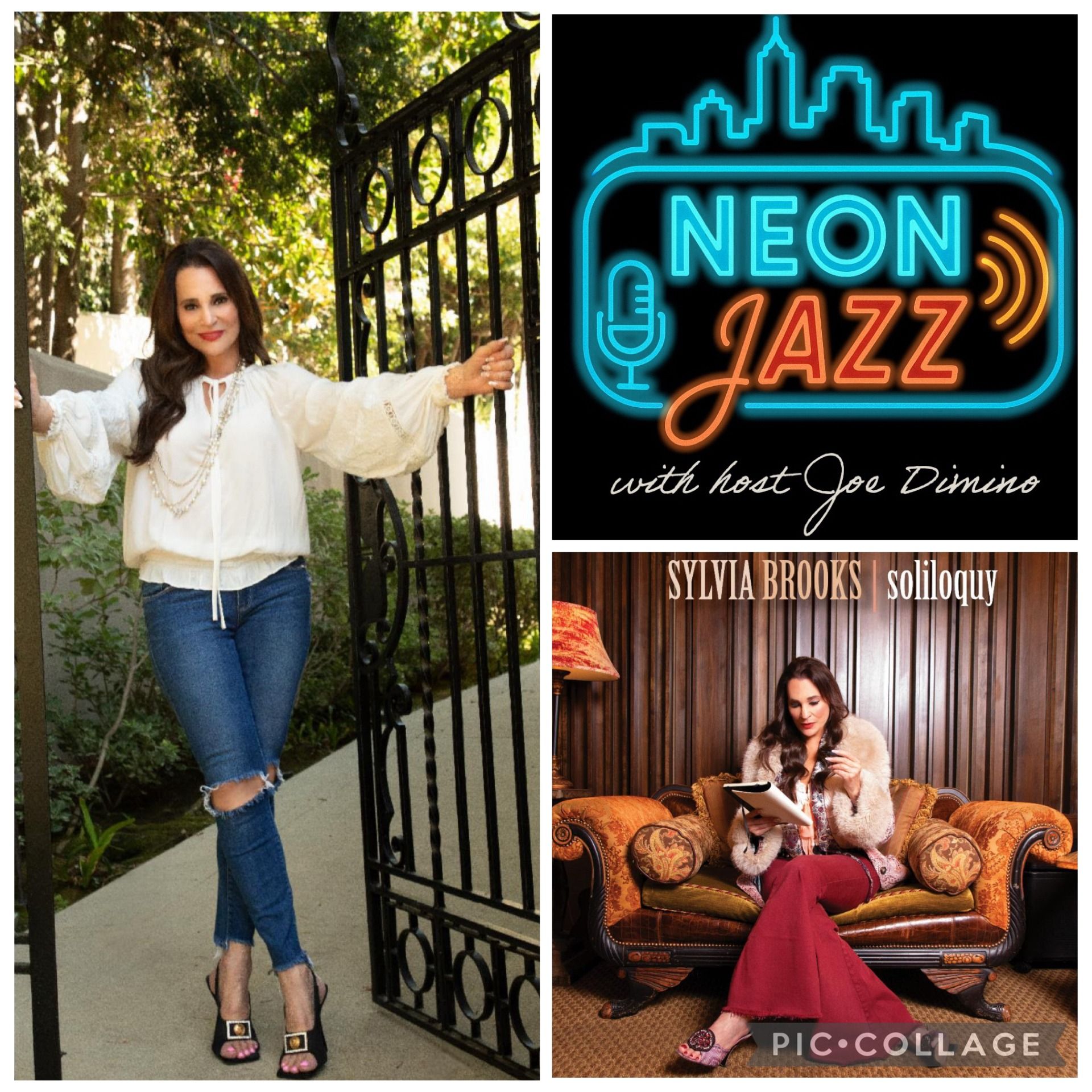 Jazz Vocalist Sylvia Brooks on Soliloquy, Songwriting, Creativity & Her Career episode artwork