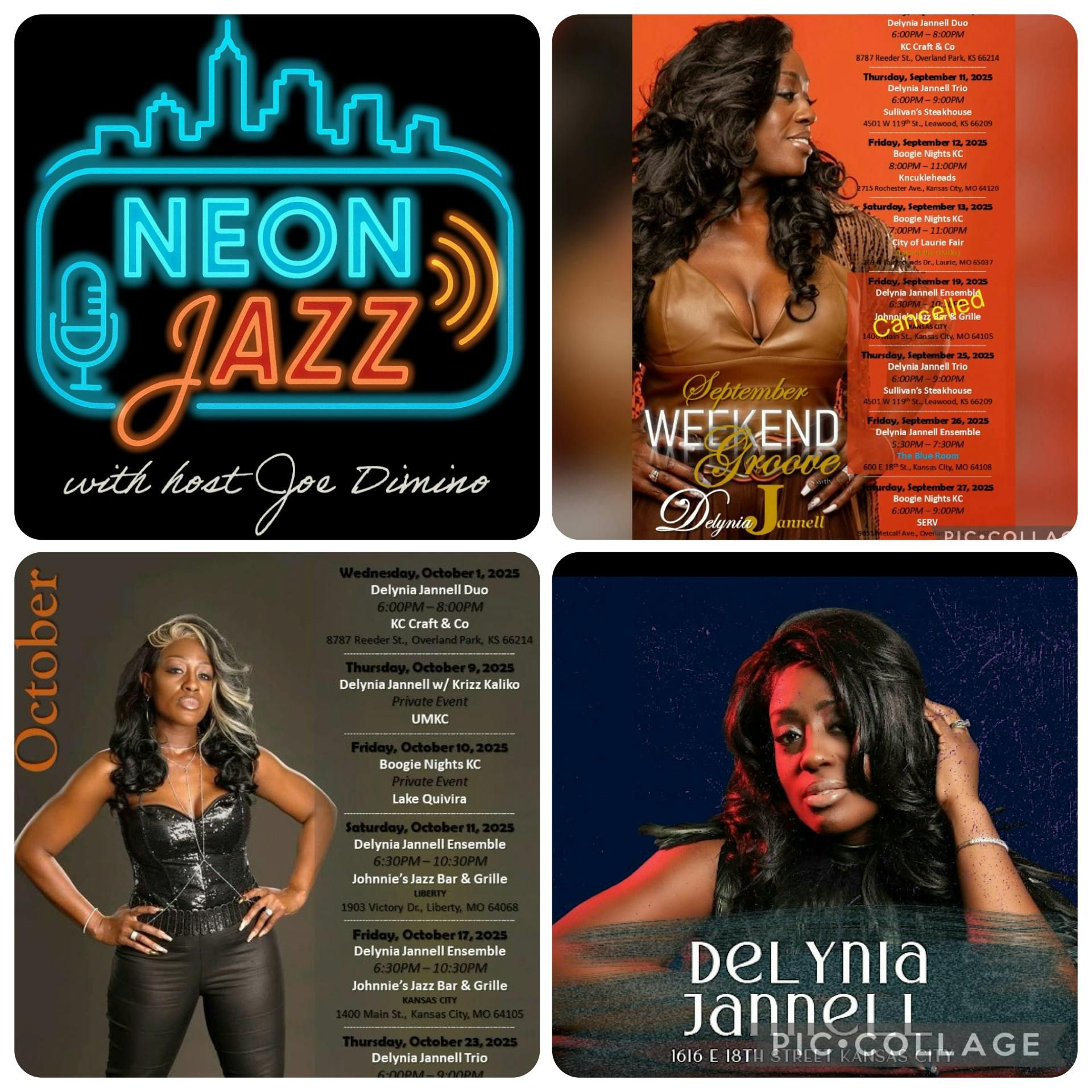 Kansas City-based Singer & Songwriter Delynia Jannell episode artwork