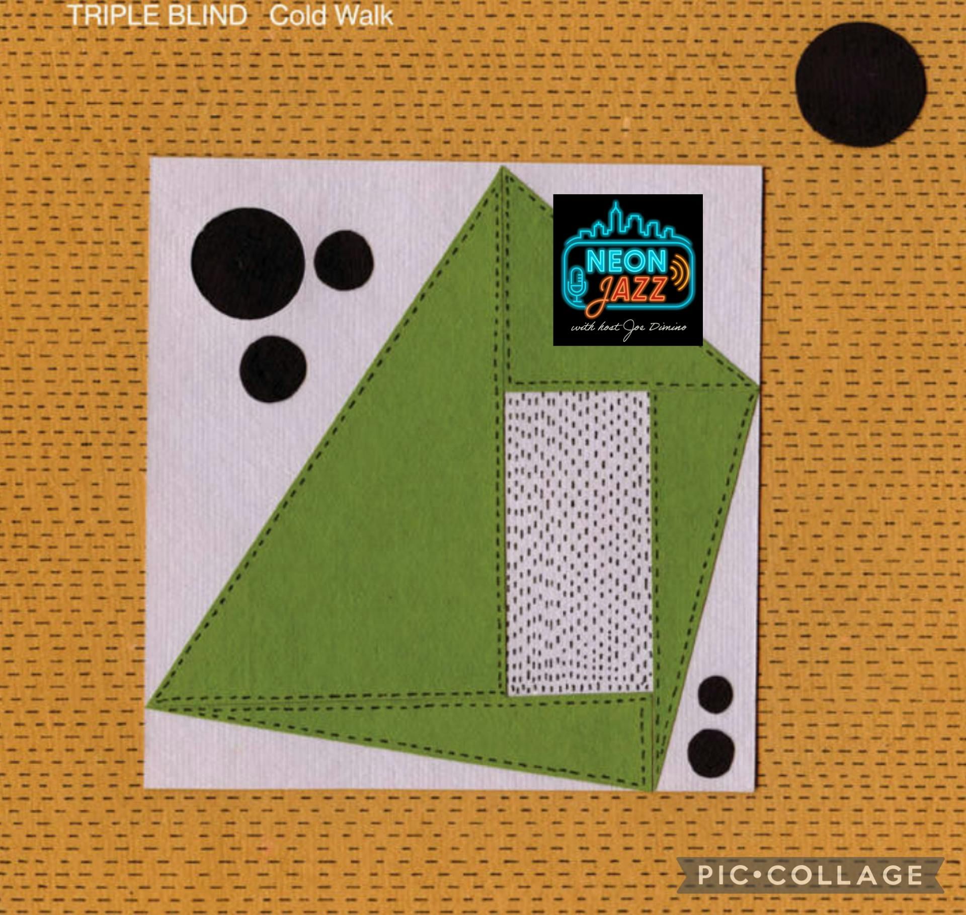 Musicians Kyle Nasser & Nick Jost of the Trio Triple Blind on 2026’s Album Cold Walk episode artwork