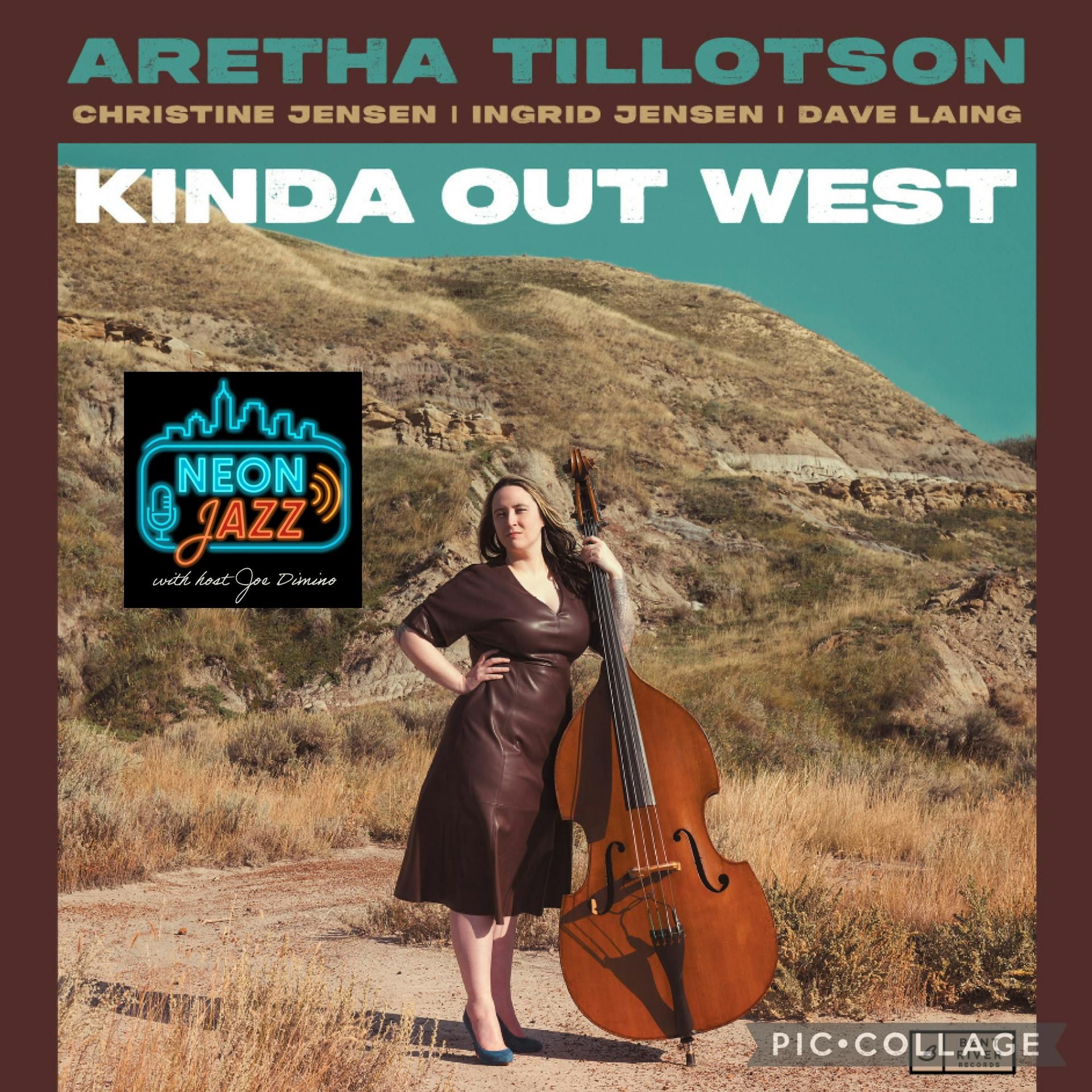 Edmonton-based Jazz Bassist Aretha Tillotson episode artwork