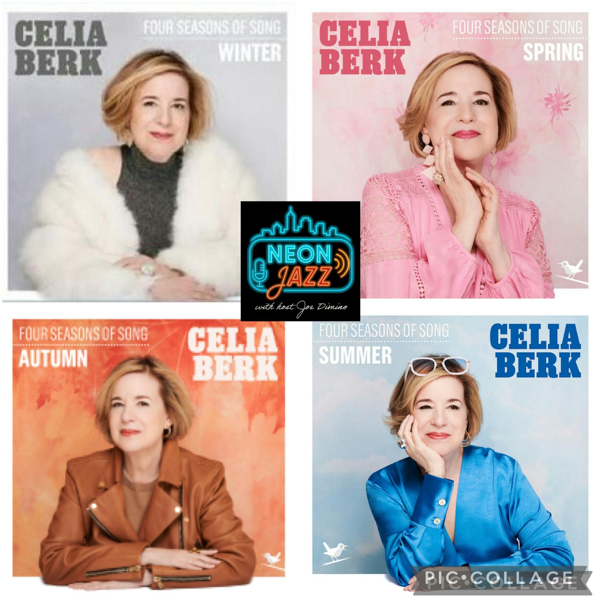Award Winning New York-based Jazz Vocalist Celia Berk episode artwork