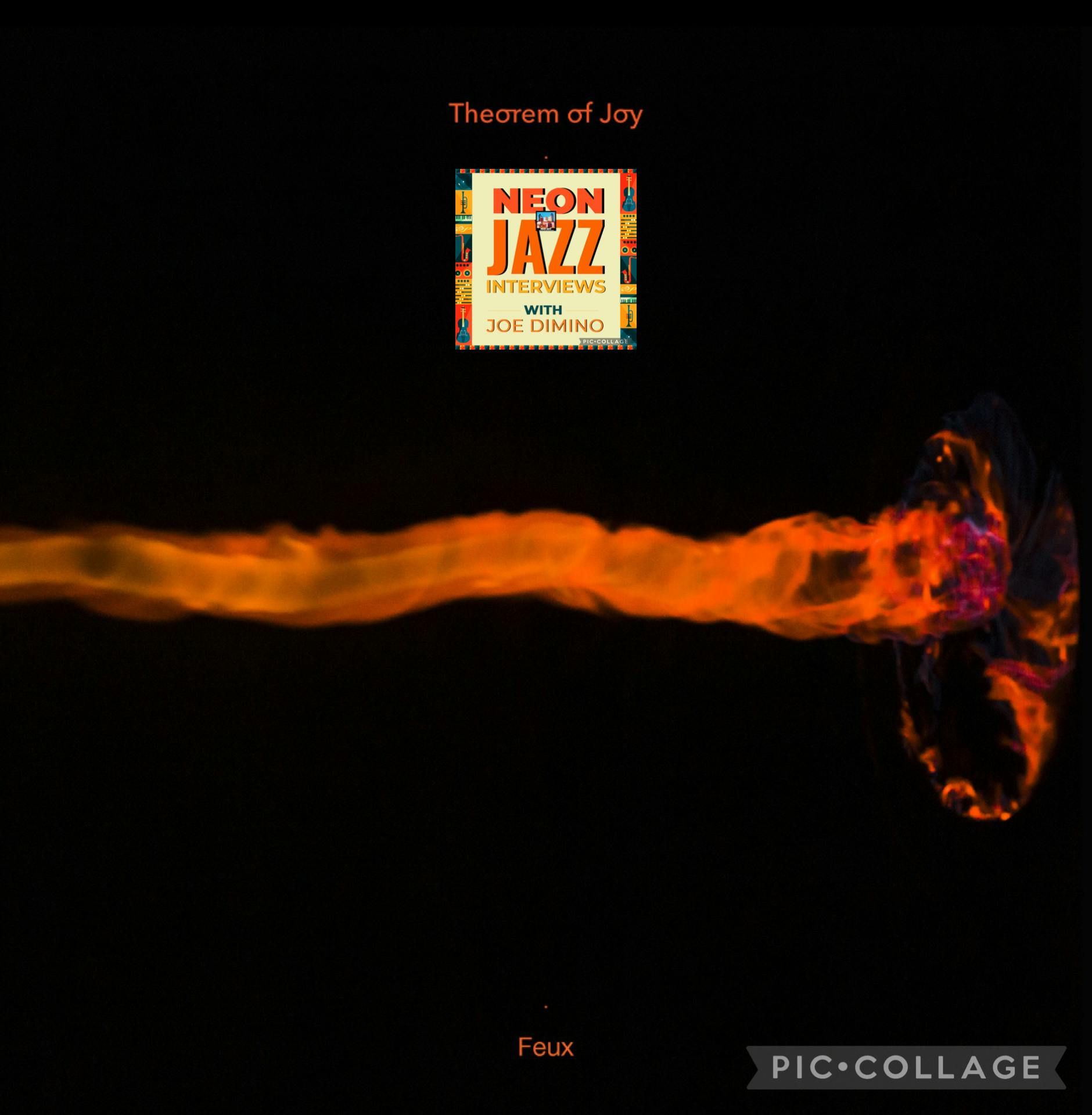 Paris-based Jazz Bassist, Composer & Leader of Theorem of Joy Thomas Julienne episode artwork