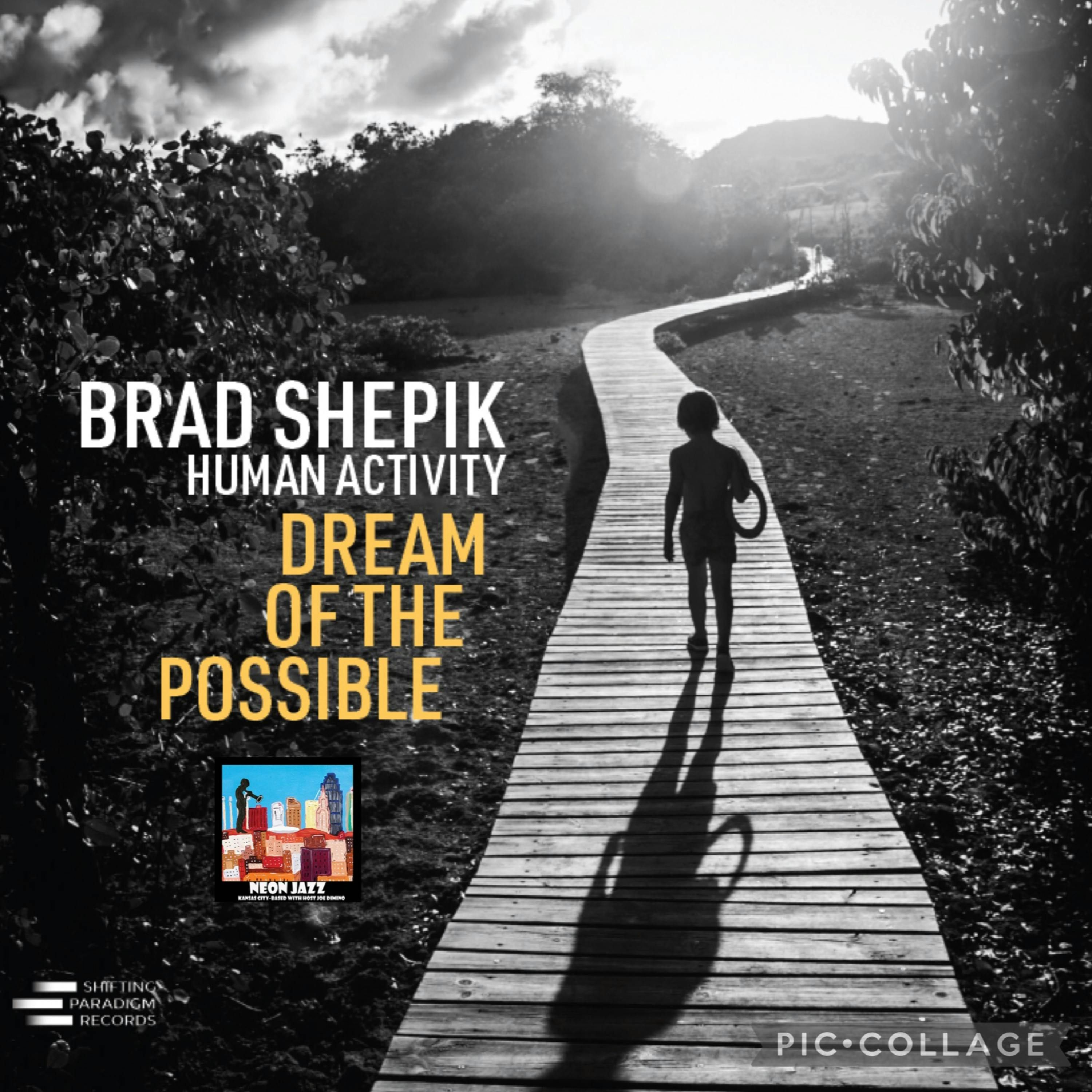 NYC-based Jazz Guitarist and Composer Brad Shepik episode artwork