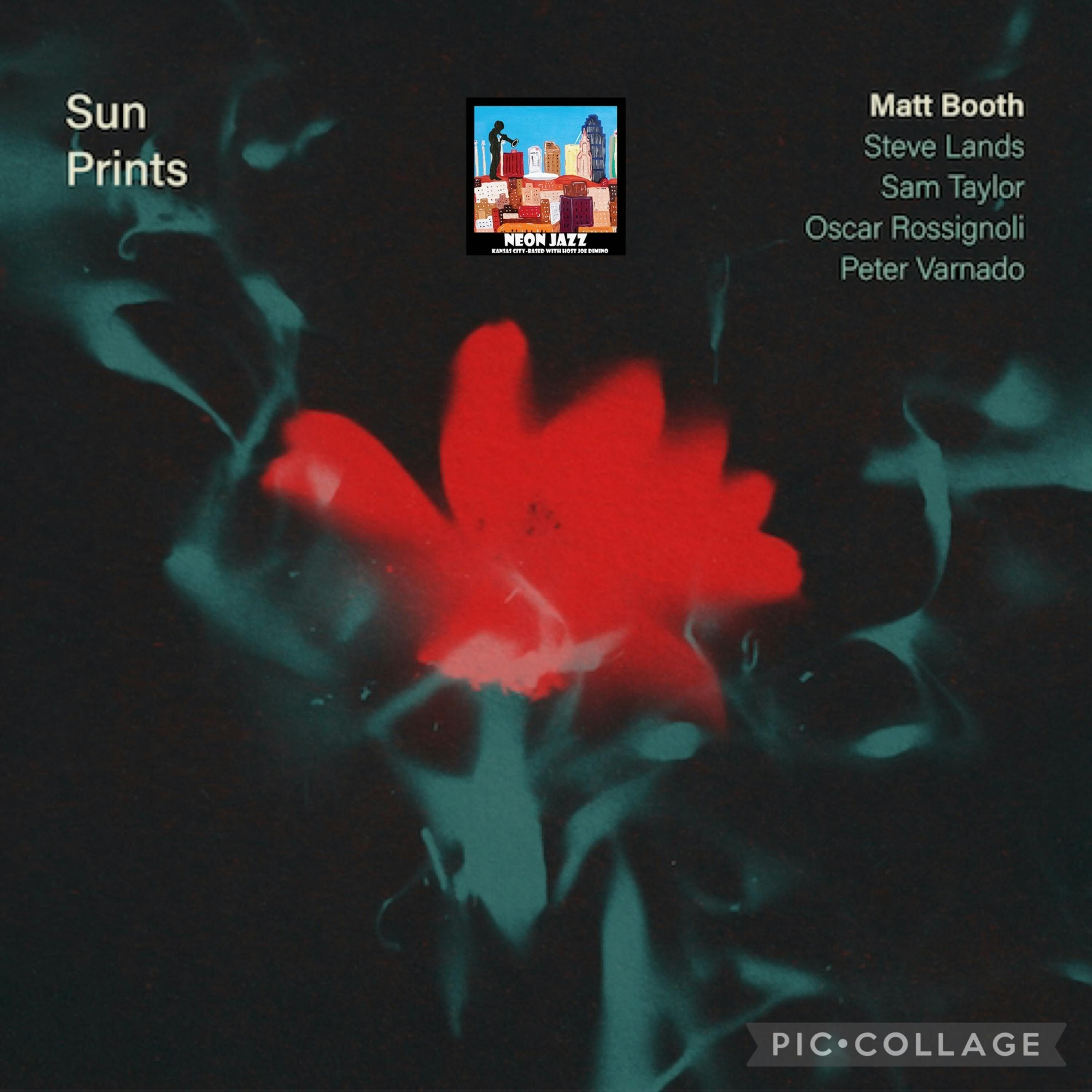 Jazz Bassist & Composer Matt Booth episode artwork