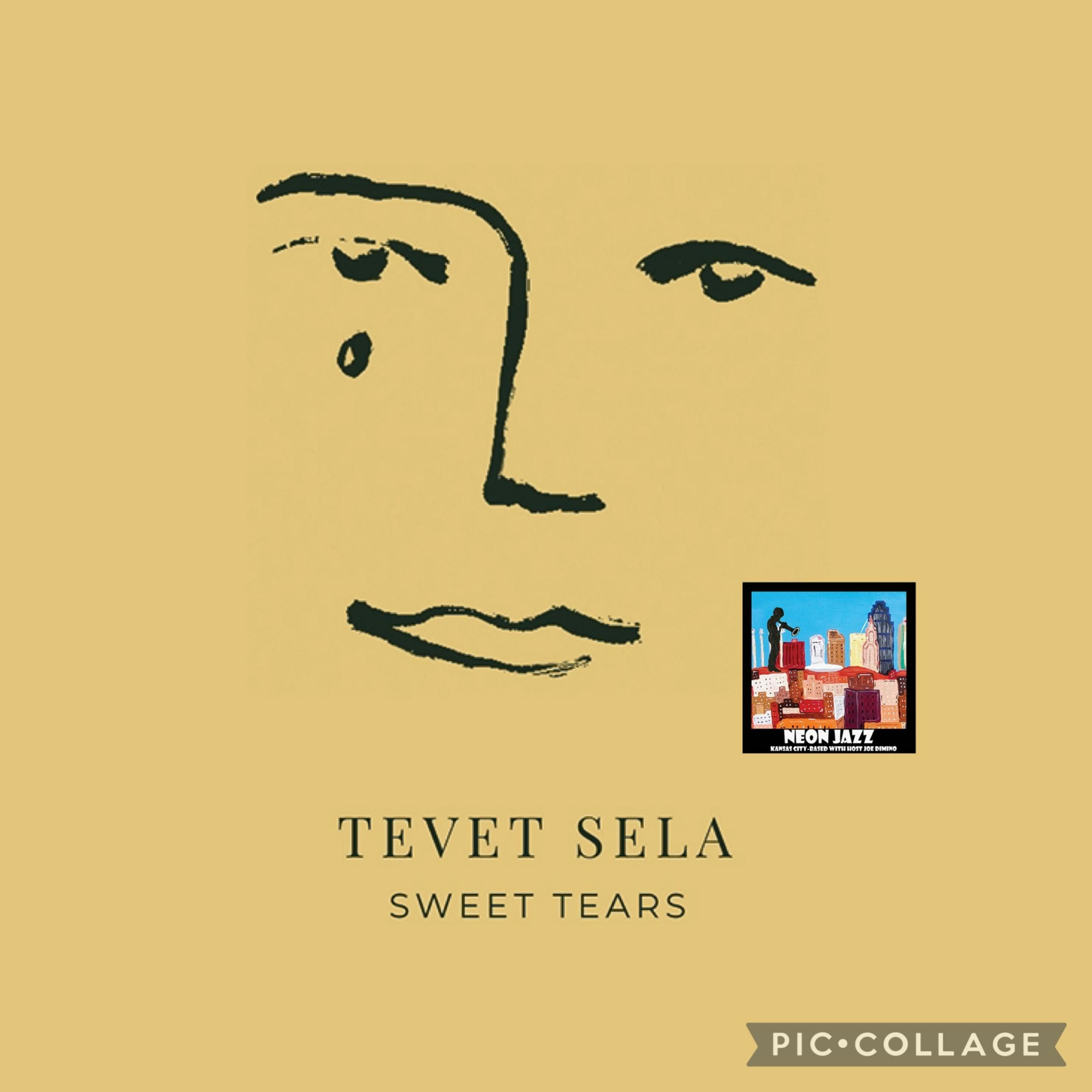 Israeli-born Jazz Alto Saxophonist & Composer Tevet Sela episode artwork