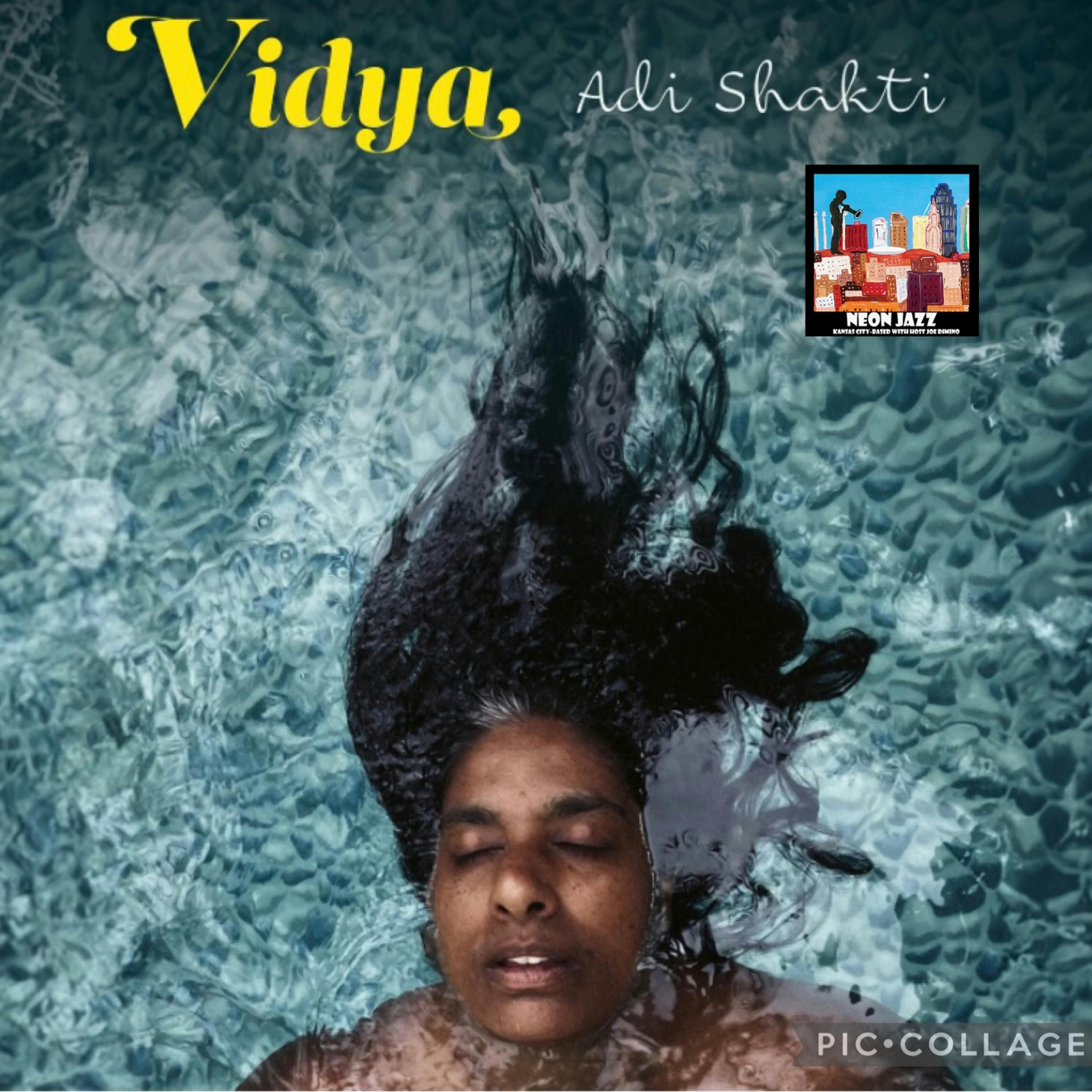 Swedish Jazz Singer, Pianist & Composer Vidya Liselotte Sundberg episode artwork