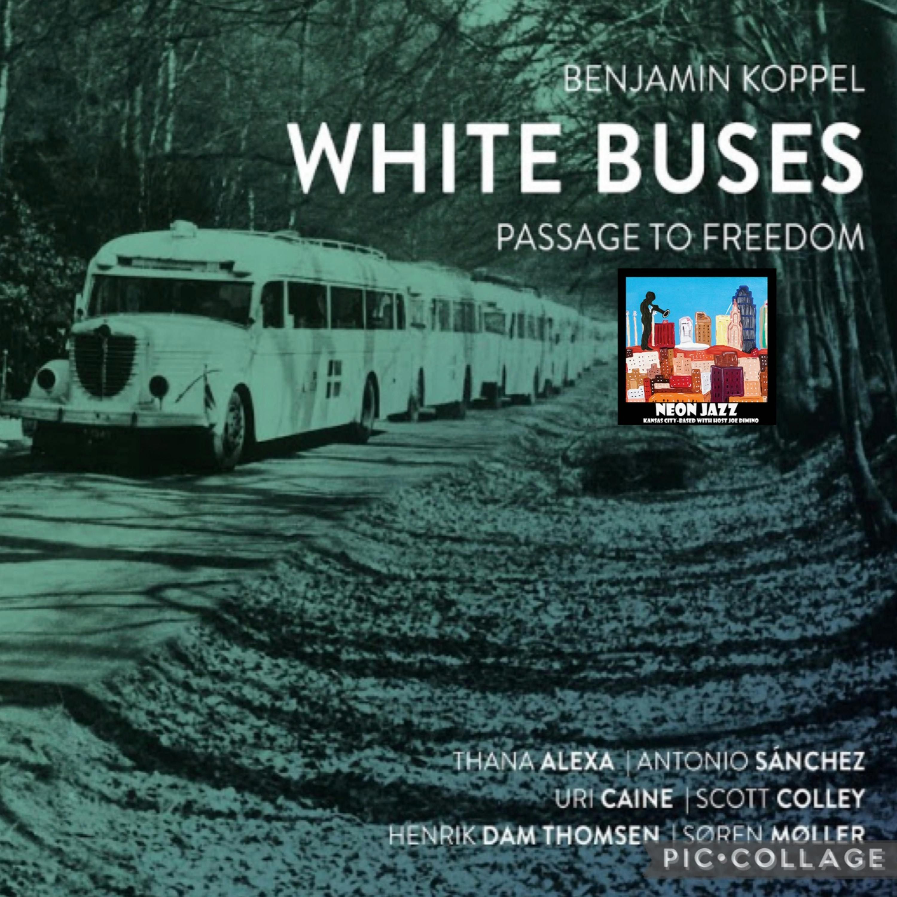 Danish Jazz Musician & Author Benjamin Koppel episode artwork