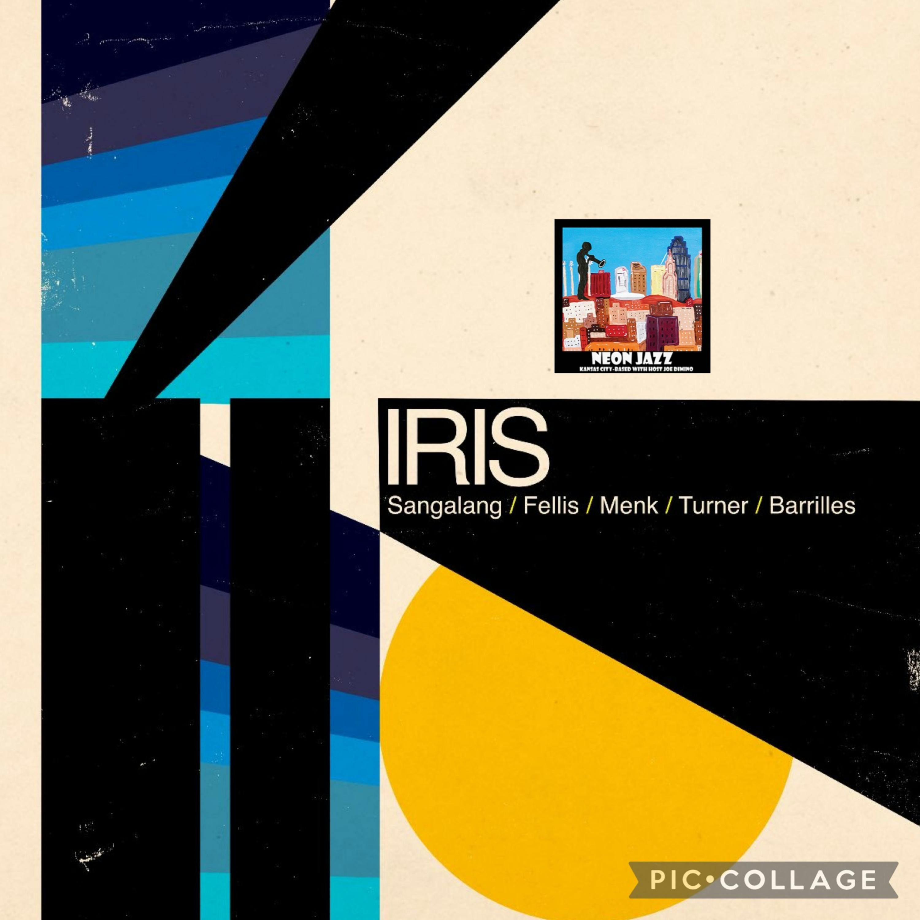 Bandmates of the Chicago Jazz Collective IRIS episode artwork