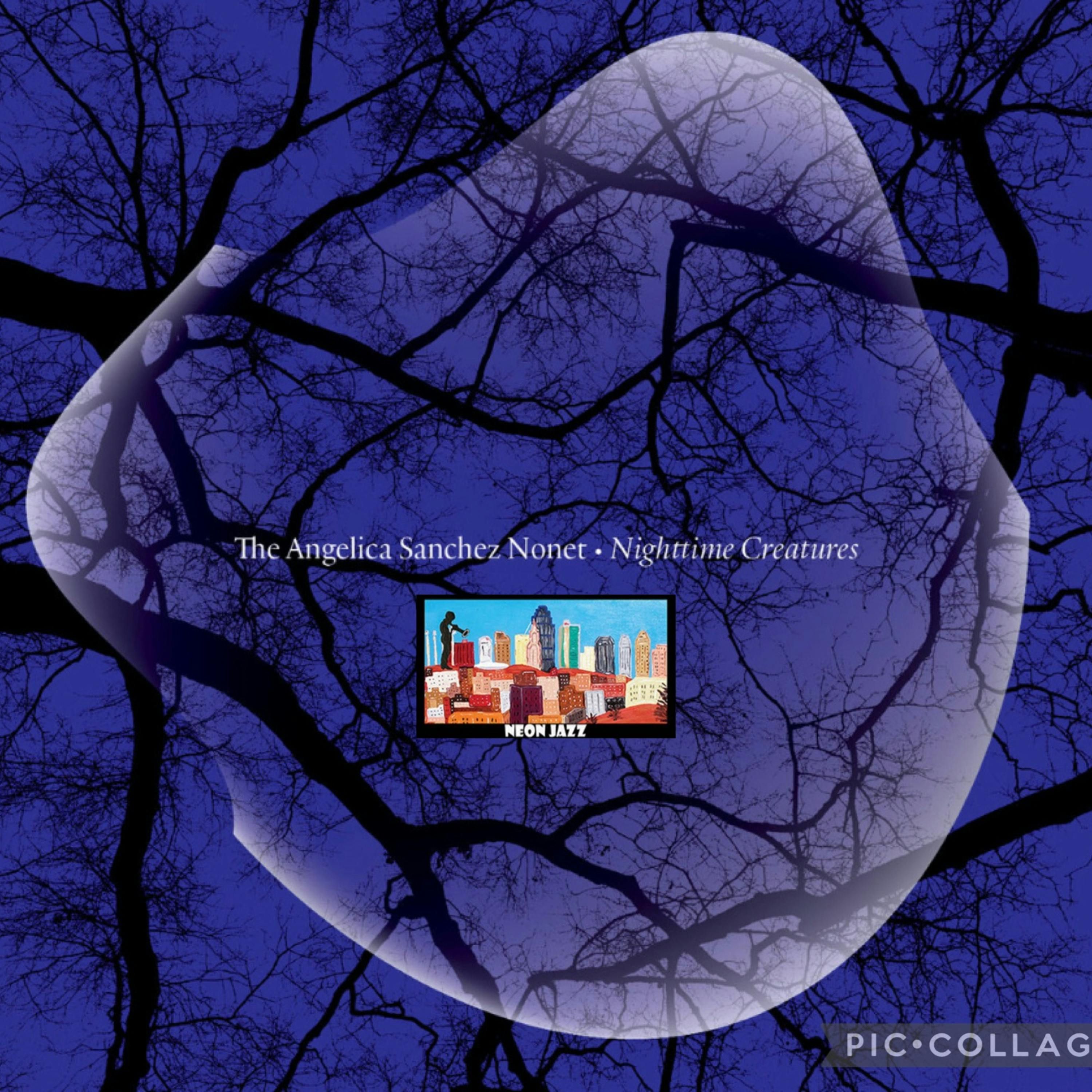 Jazz Pianist, Composer & Educator Angelica Sanchez episode artwork