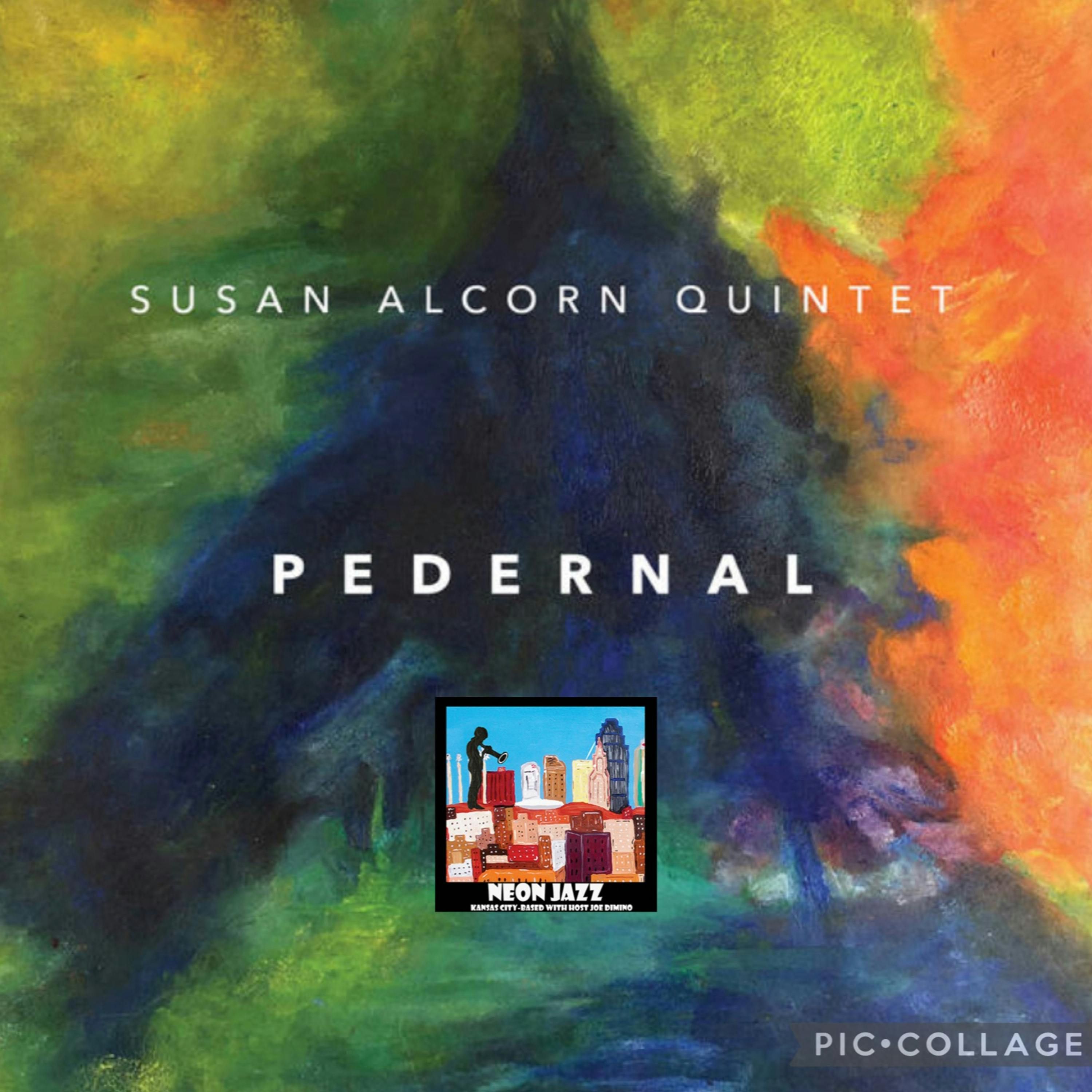 Veteran Composer & Pedal Steel Guitarist Susan Alcorn episode artwork