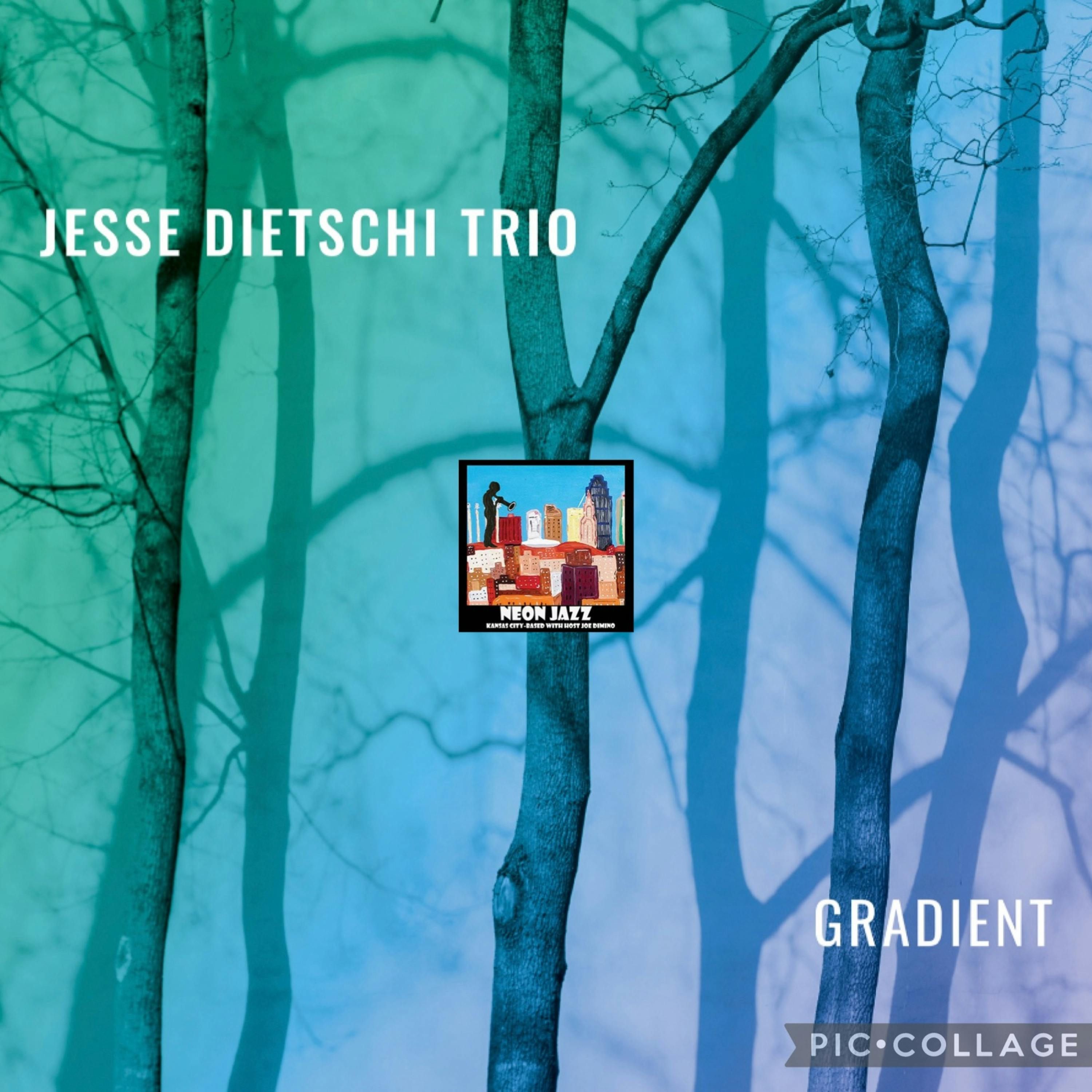 Canadian Jazz Leader, Composer & Bassist Jesse Dietschi episode artwork
