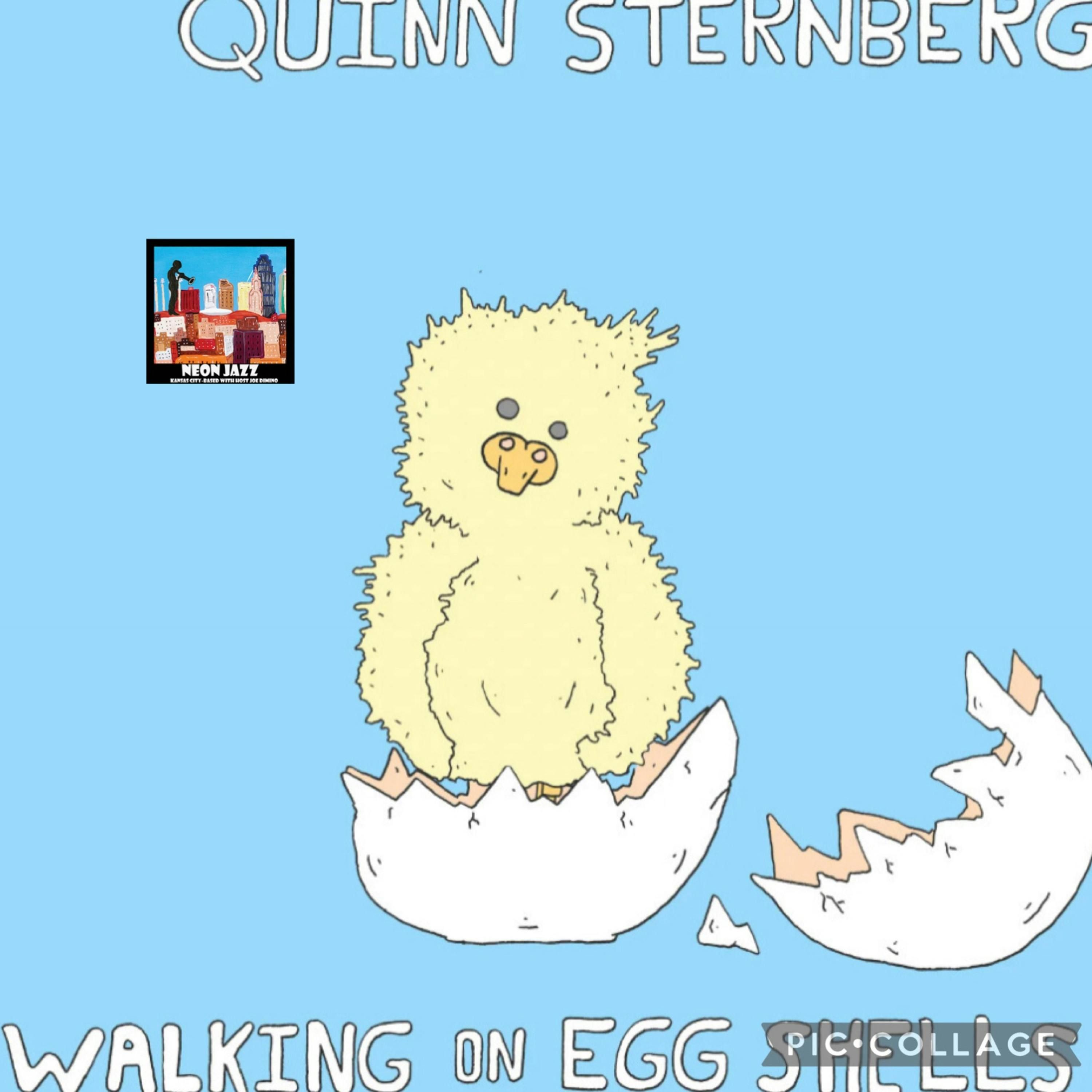 Jazz Bassist Quinn Sternberg on the 2023 CD Walking on Eggshells episode artwork