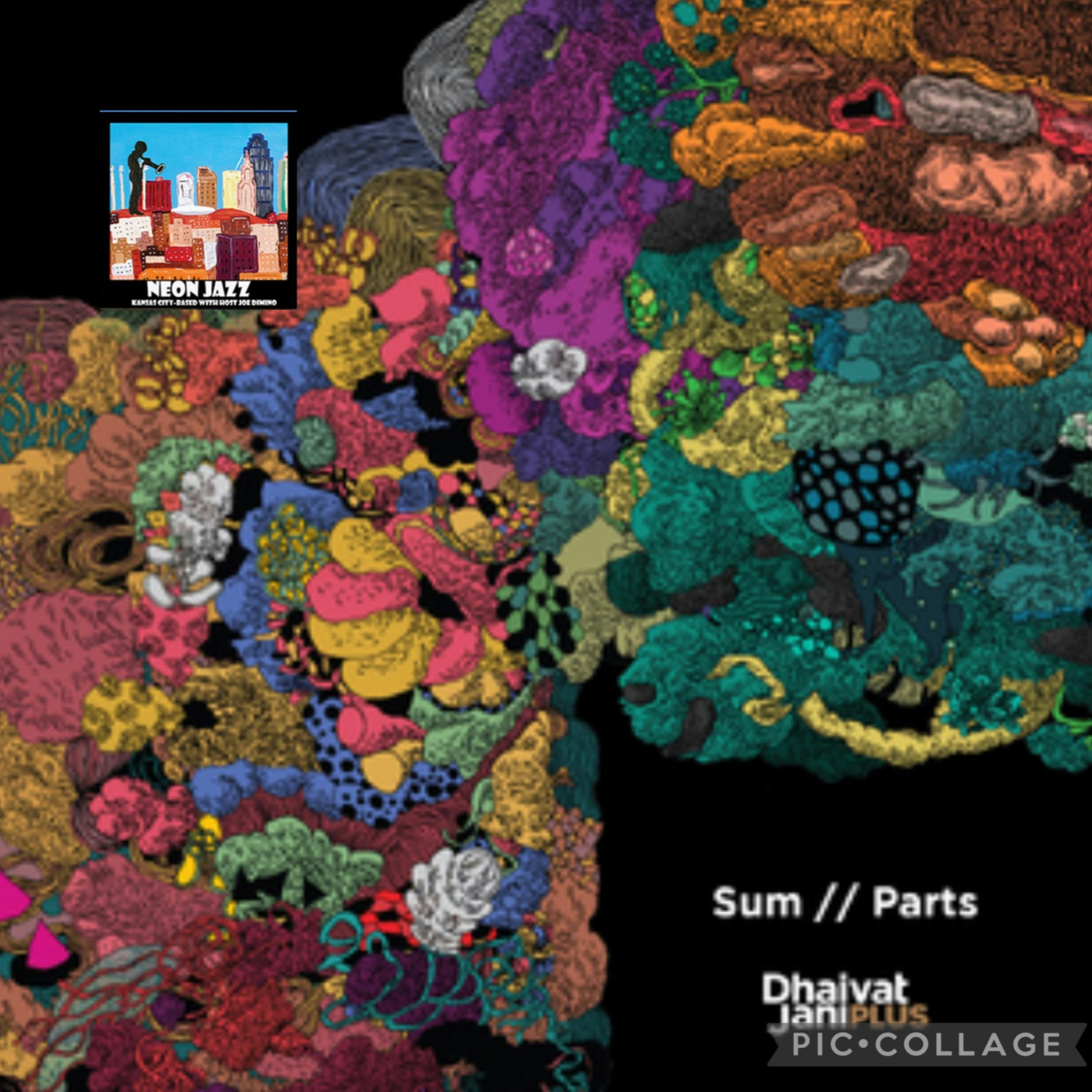 Toronto-based Jazz Drummer Dhaivat Jani episode artwork